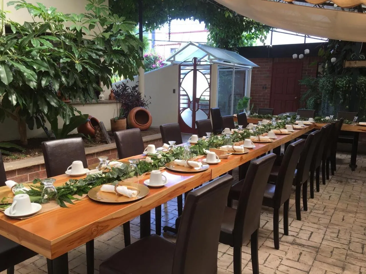 Garden in Hotel Ciudad Vieja