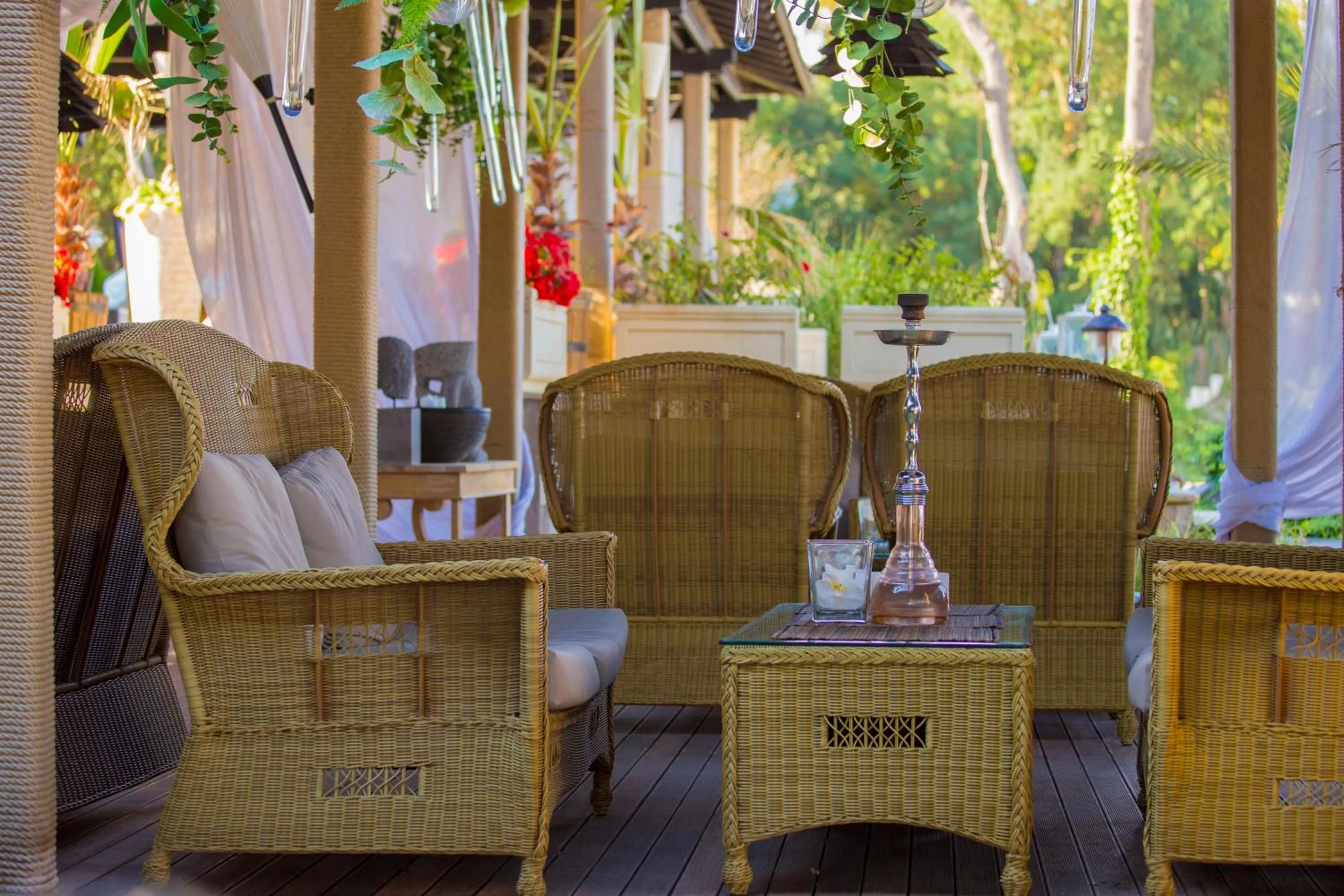 Lounge or bar in Oasis Resort Lozenets