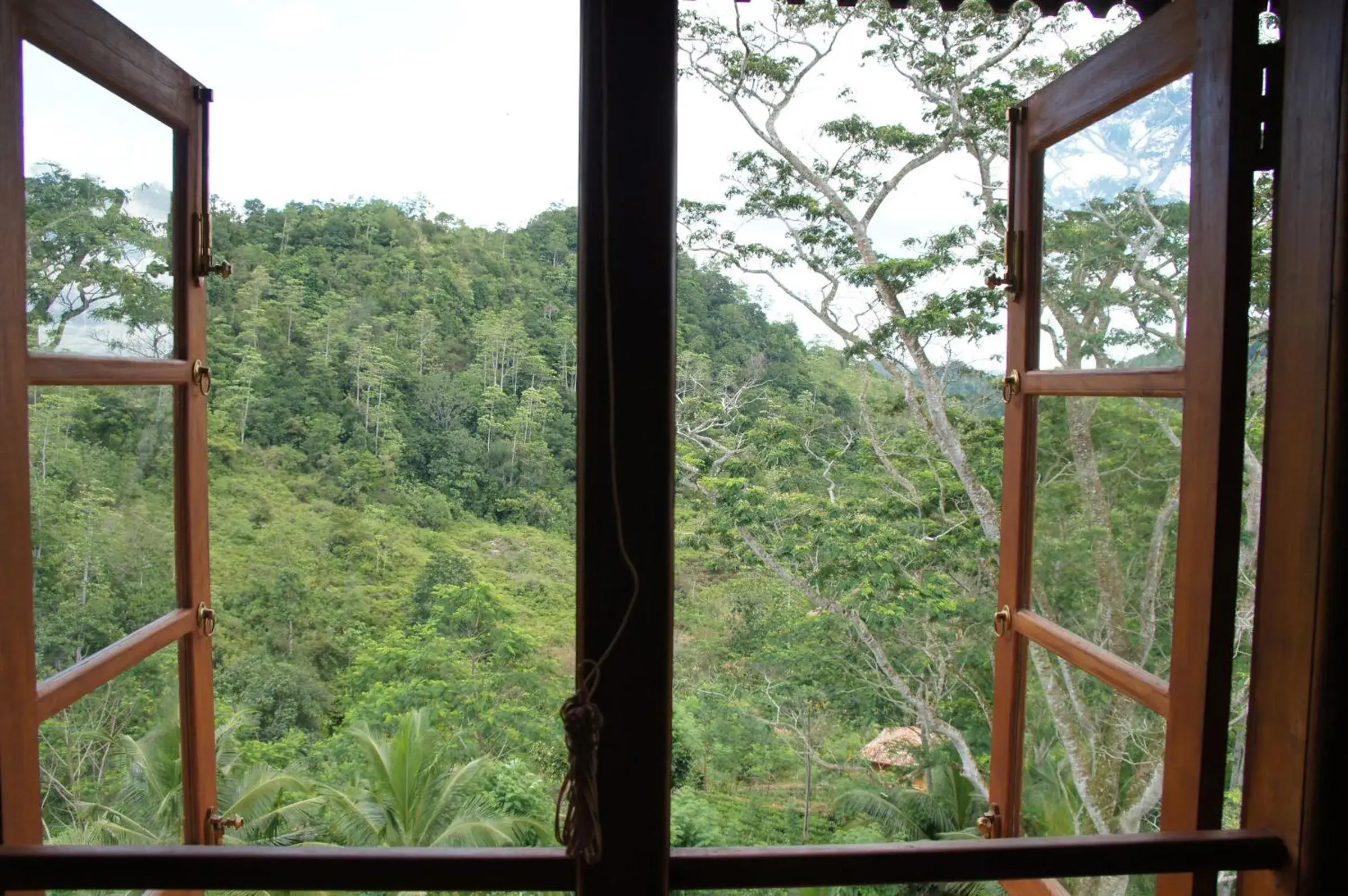 Standard Double Room - single occupancy in Niyagama House Standard Double Room - single occupancy in Niyagama House