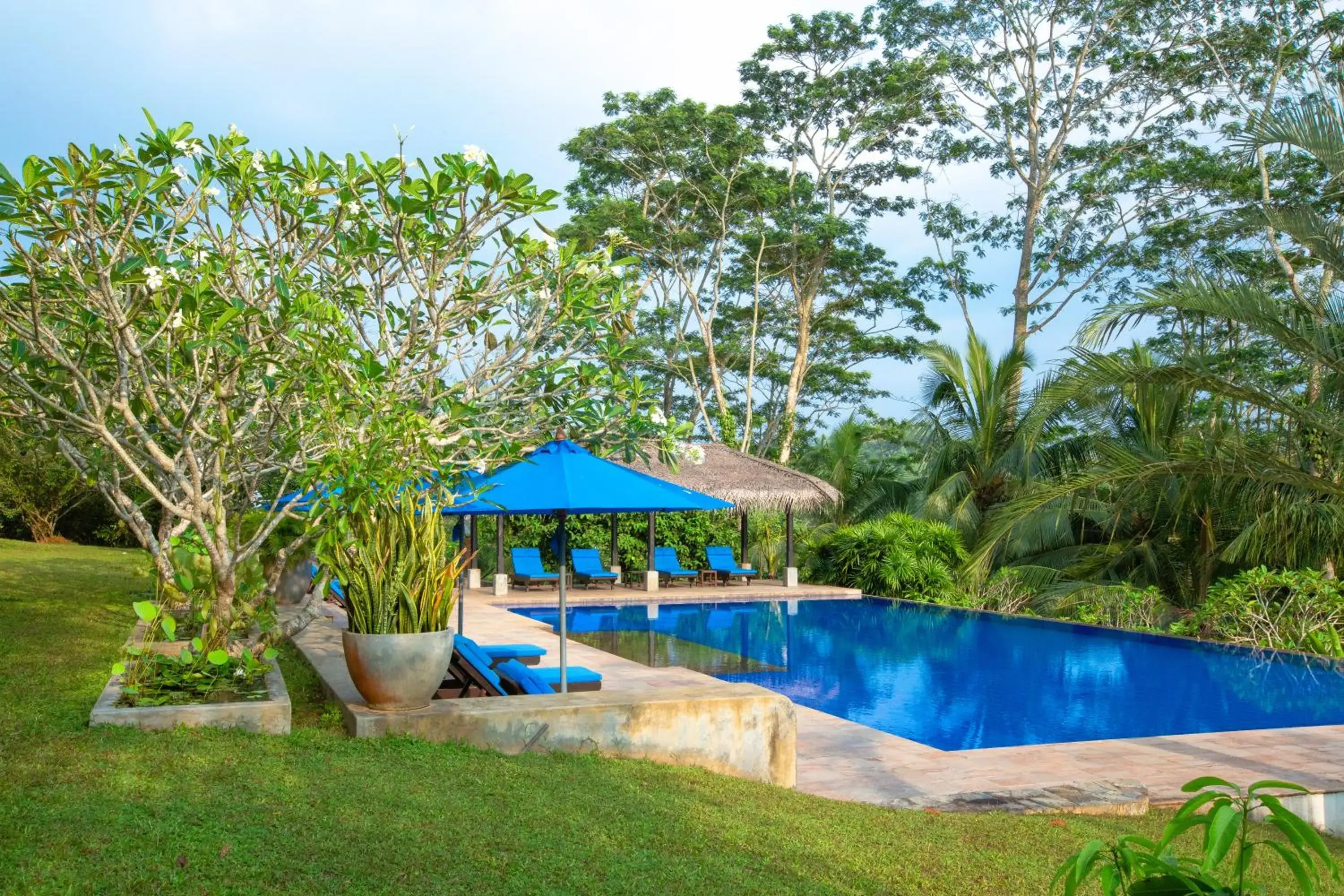 Swimming pool in Niyagama House Swimming pool in Niyagama House