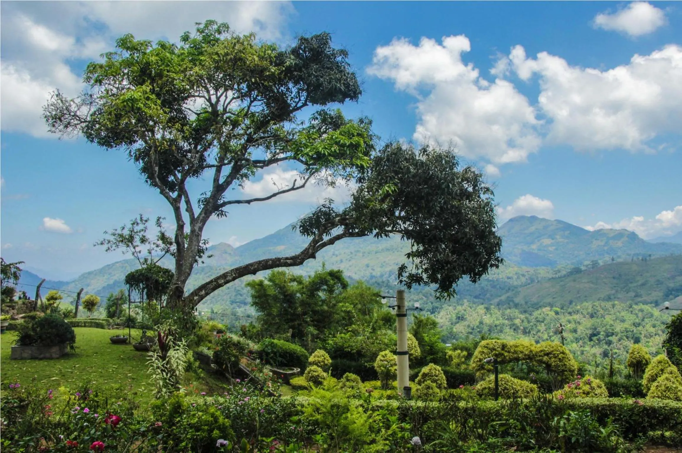 Garden view in Ancoombra Tea Estate Bungalow