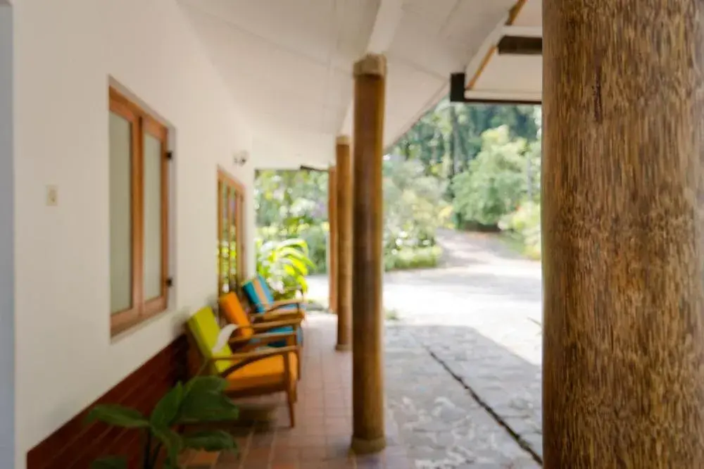 Garden view in Clove Garden Kandy Garden view in Clove Garden Kandy