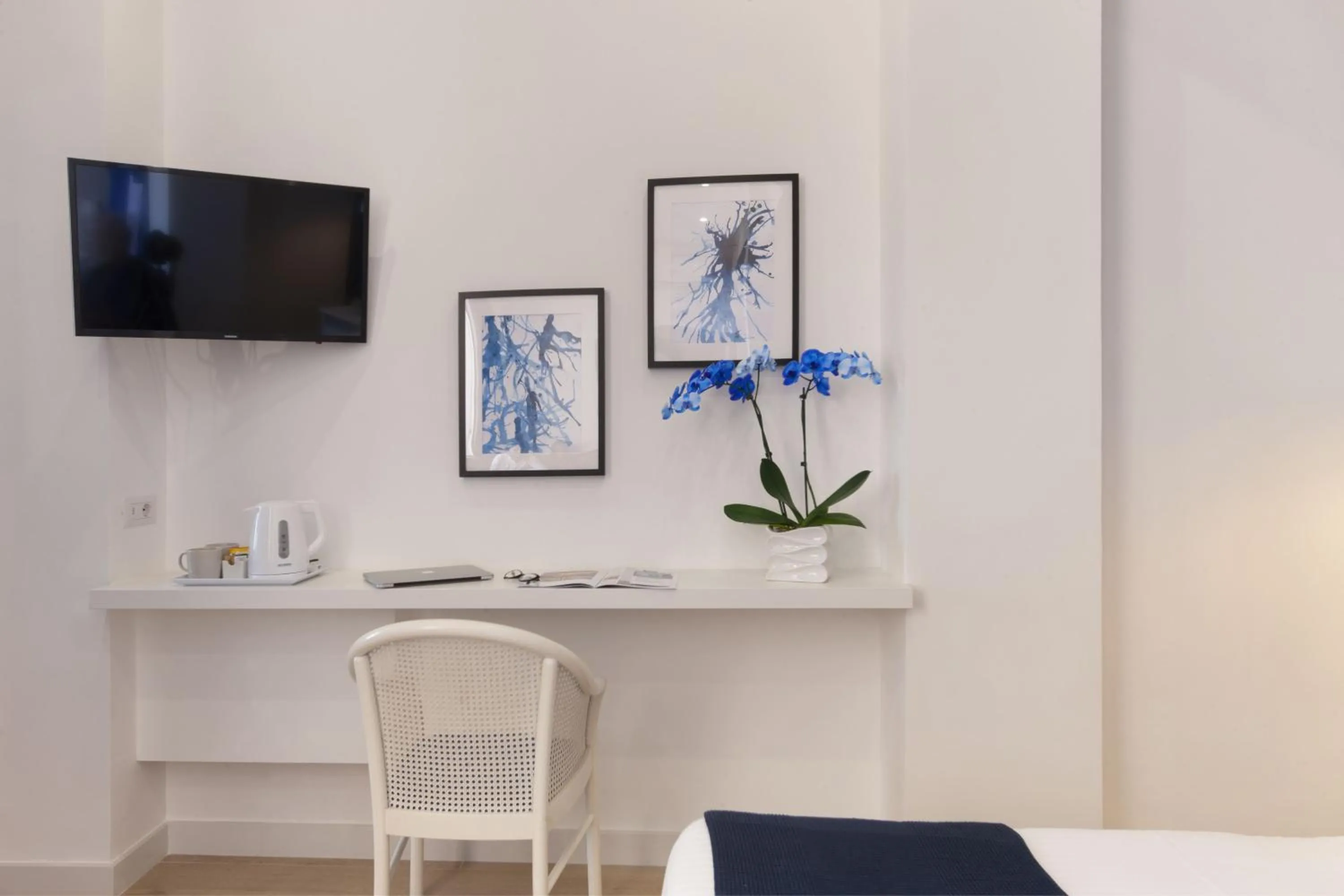 TV and multimedia in Corso 38 Sorrento