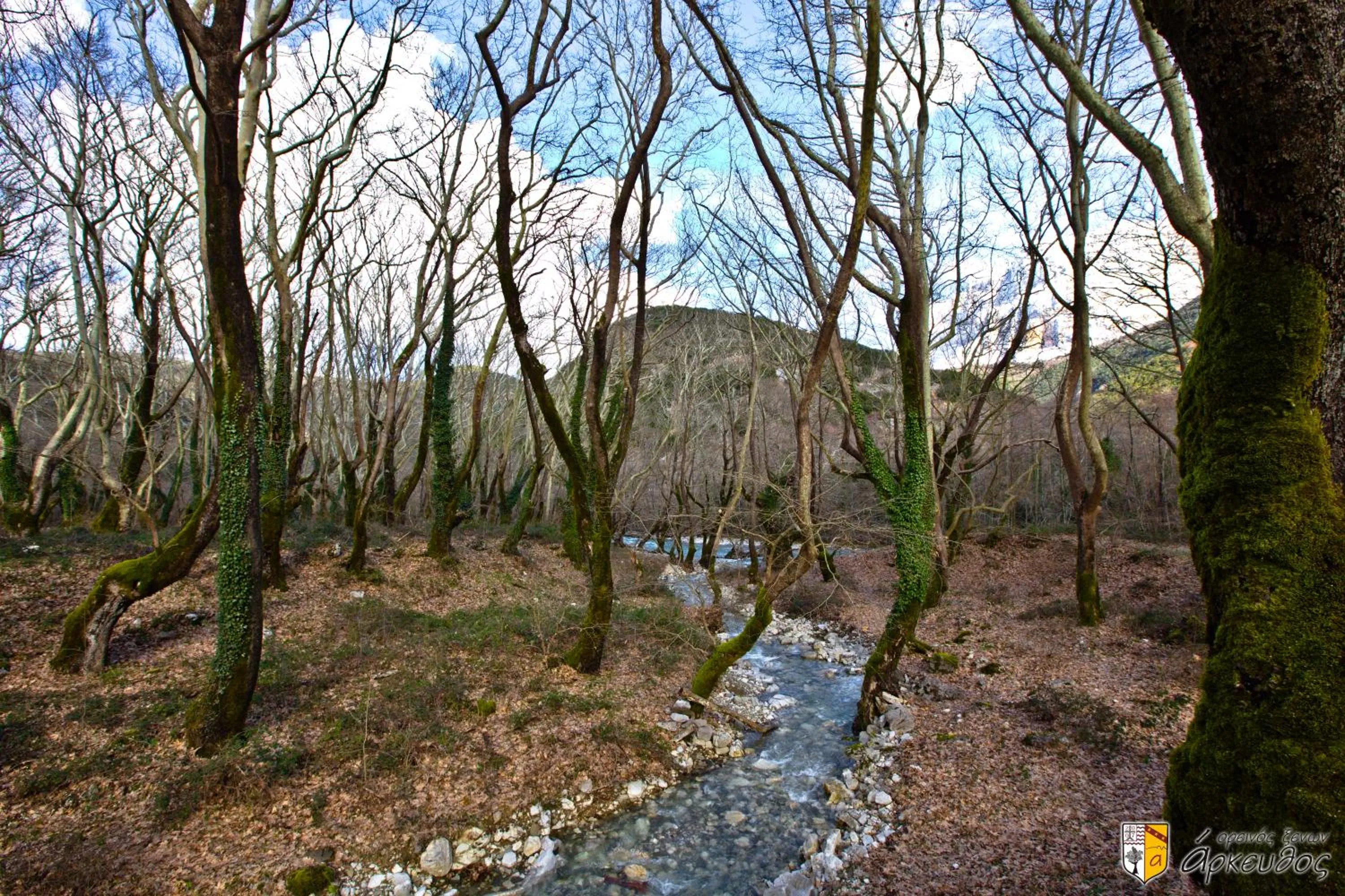 Activities in Arkefthos Mountain Hotel