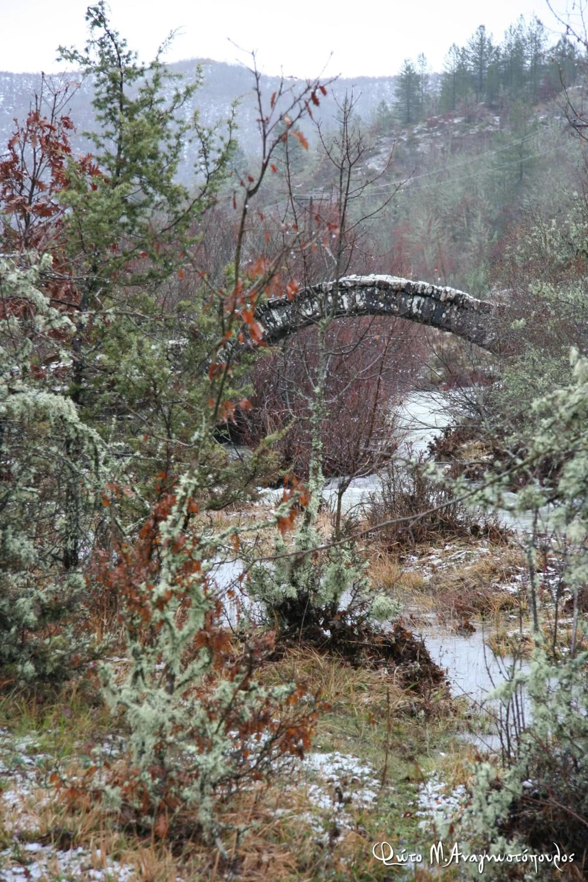 Natural landscape in Arkefthos Mountain Hotel