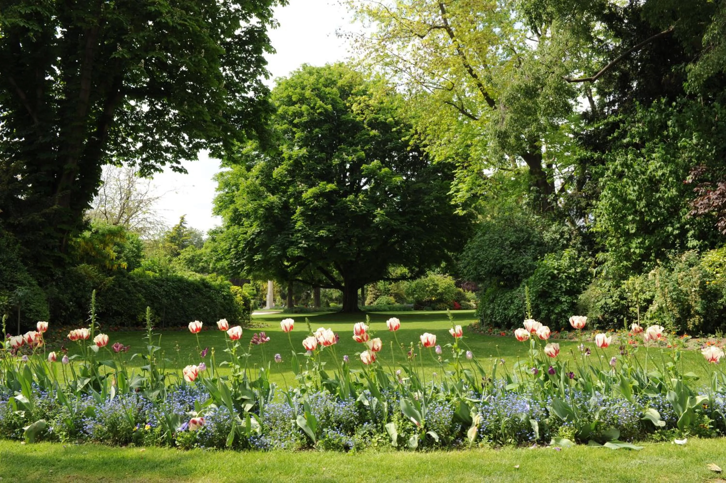 Garden in ibis Levallois Perret