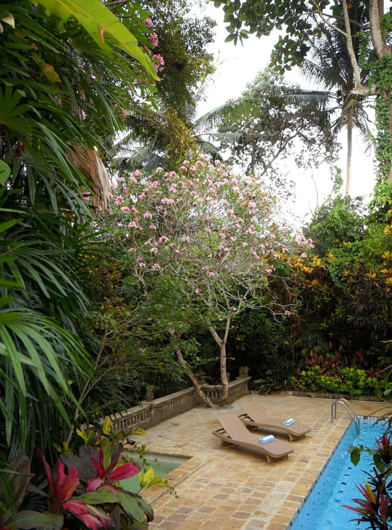 Swimming pool in Rumah Ganesha Ubud