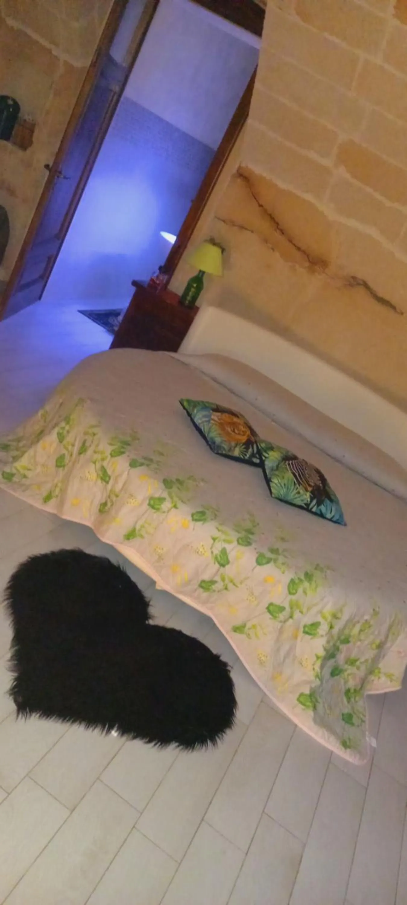 Photo of the whole room in B&b De Mauro