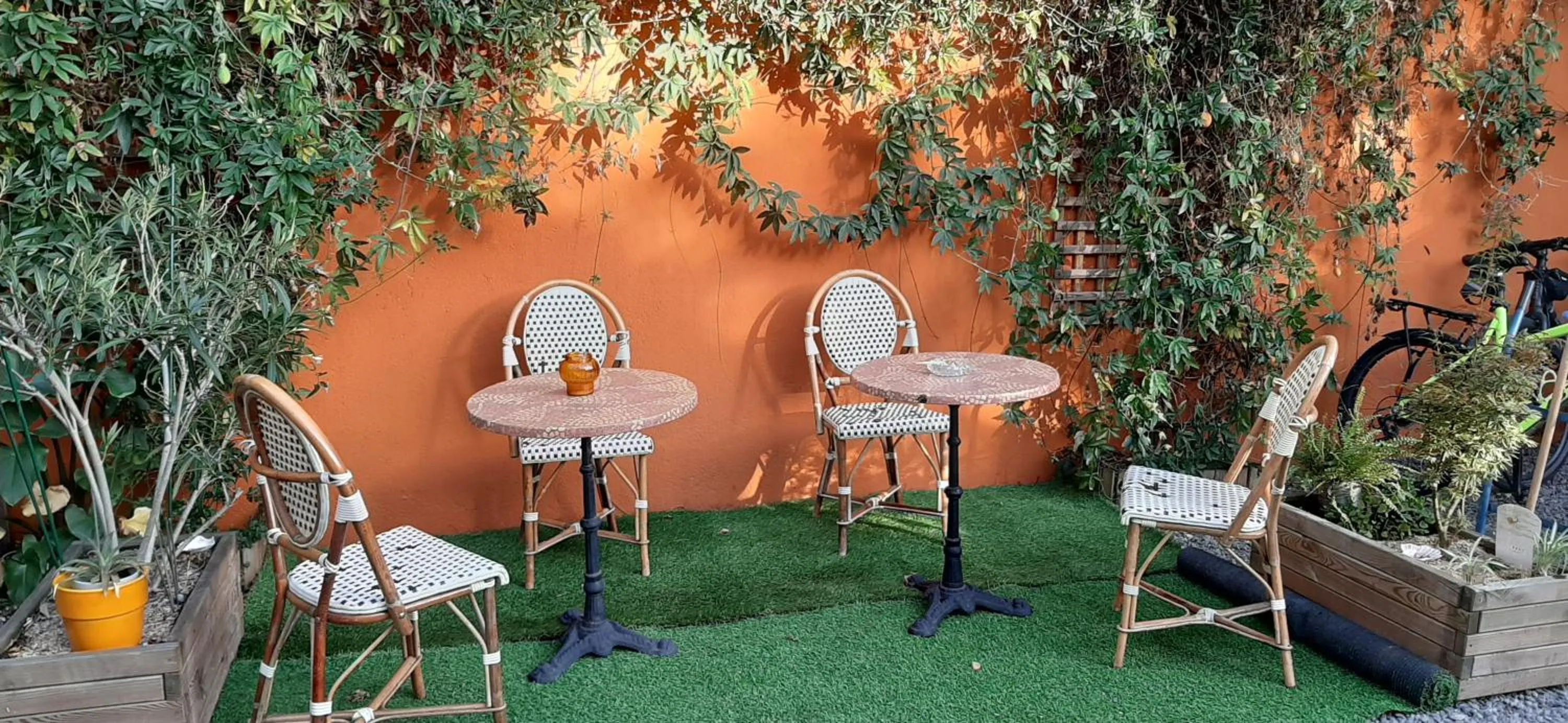 Garden in Hotel La Belle Etoile