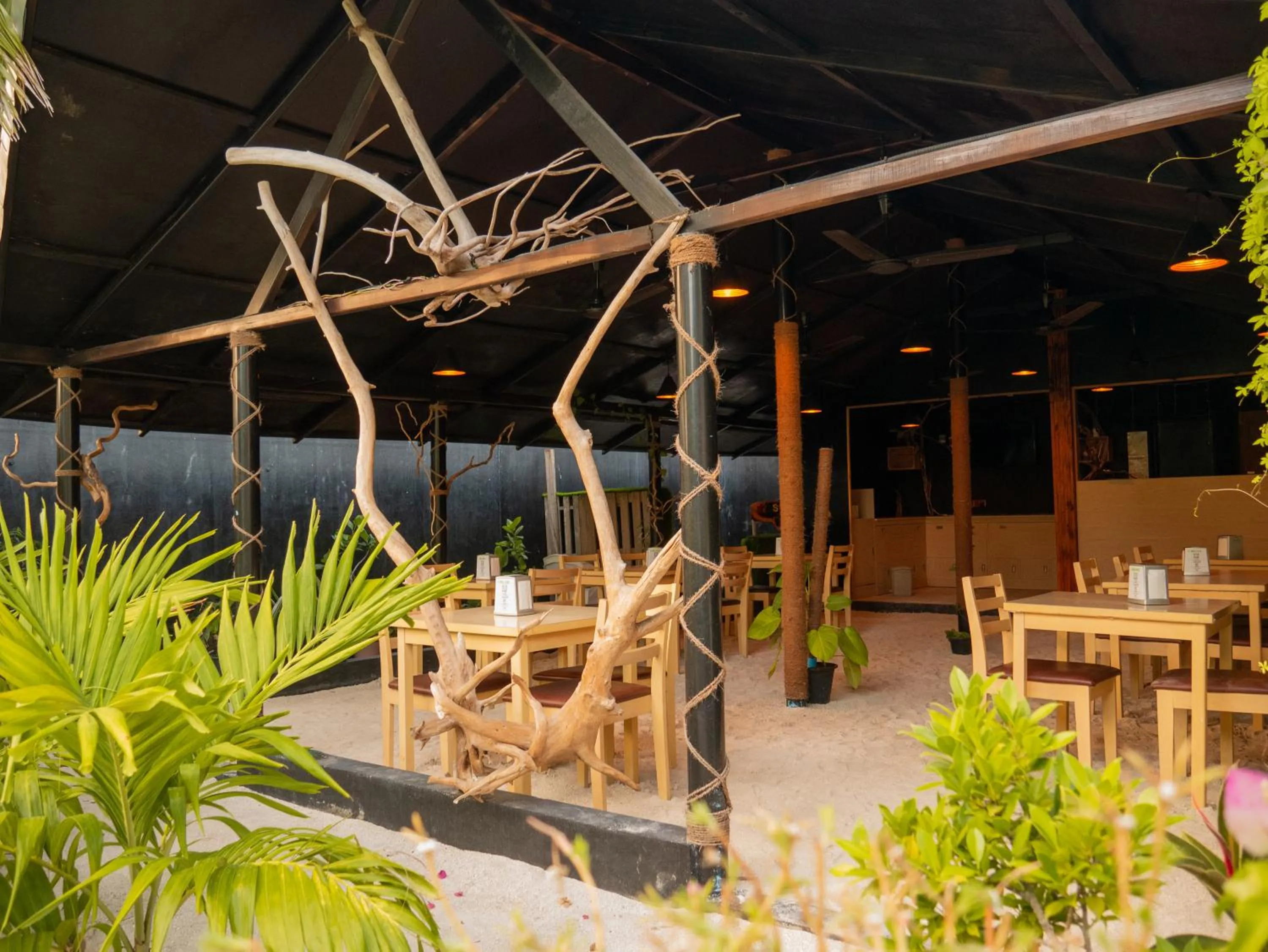 Restaurant/places to eat in Turtle Maldives - Your Gateway to the Beach & Marine Adventures Await!
