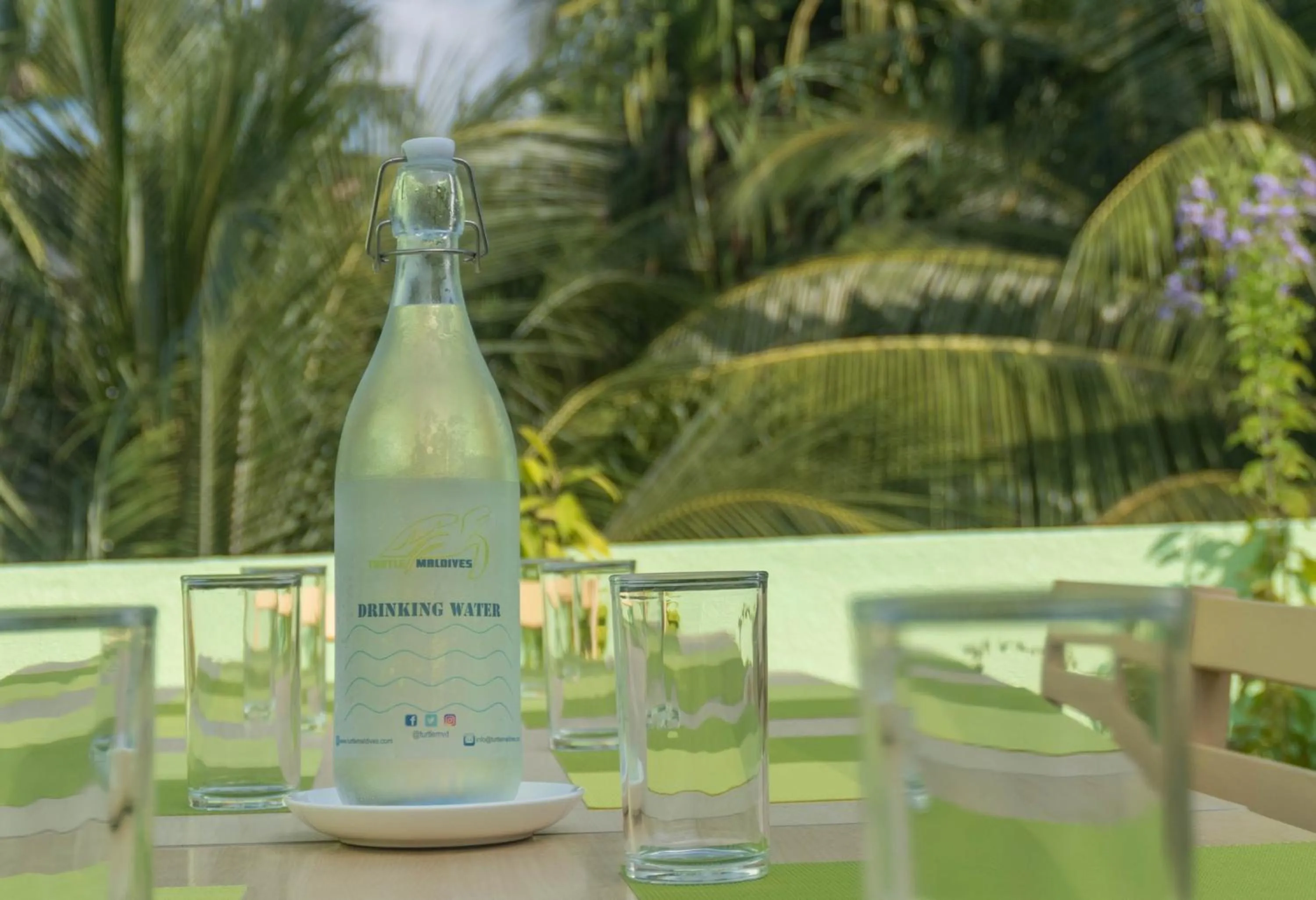 Restaurant/places to eat in Turtle Maldives - Your Gateway to the Beach & Marine Adventures Await!