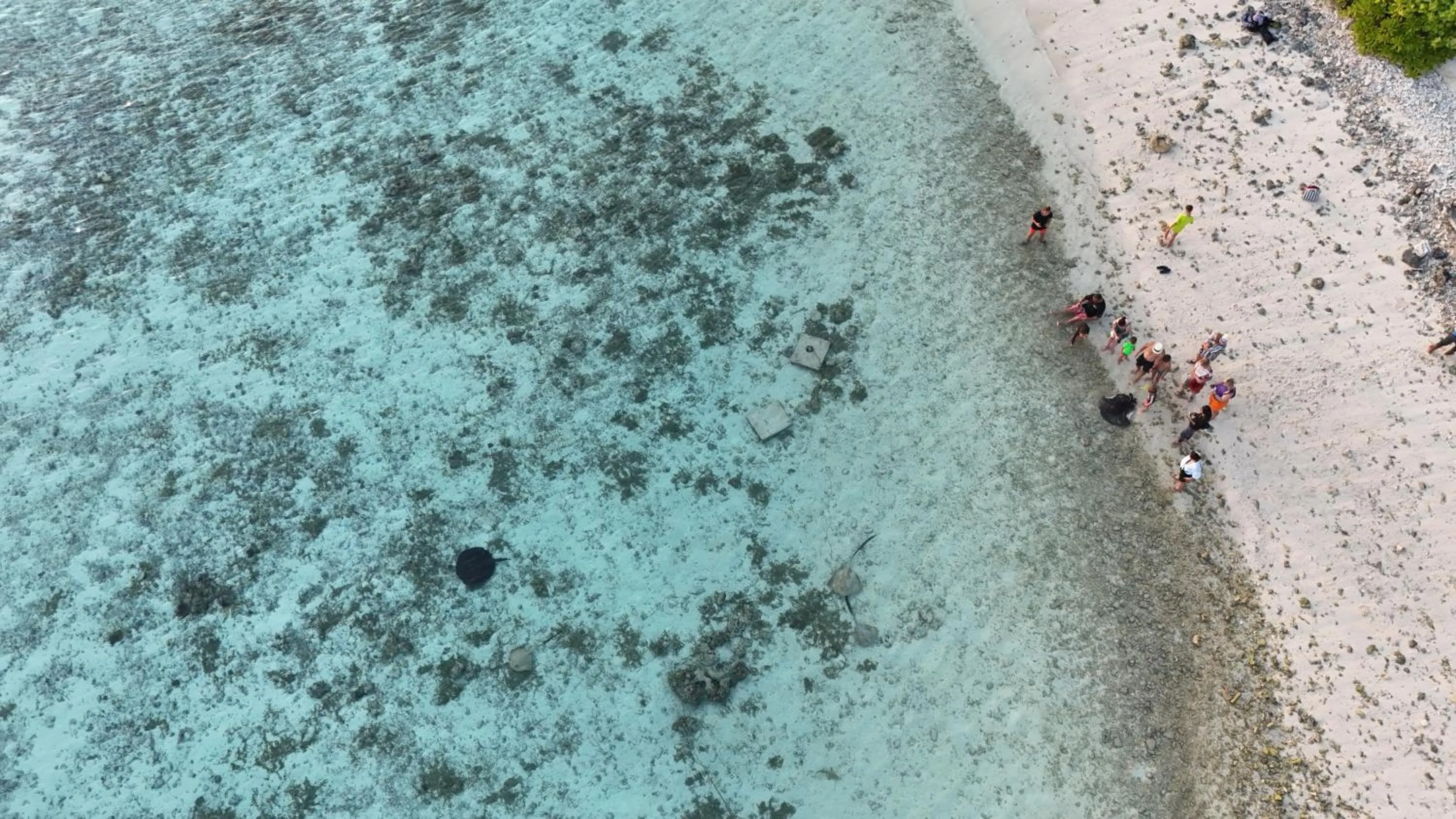 Beach in Turtle Maldives - Your Gateway to the Beach & Marine Adventures Await!