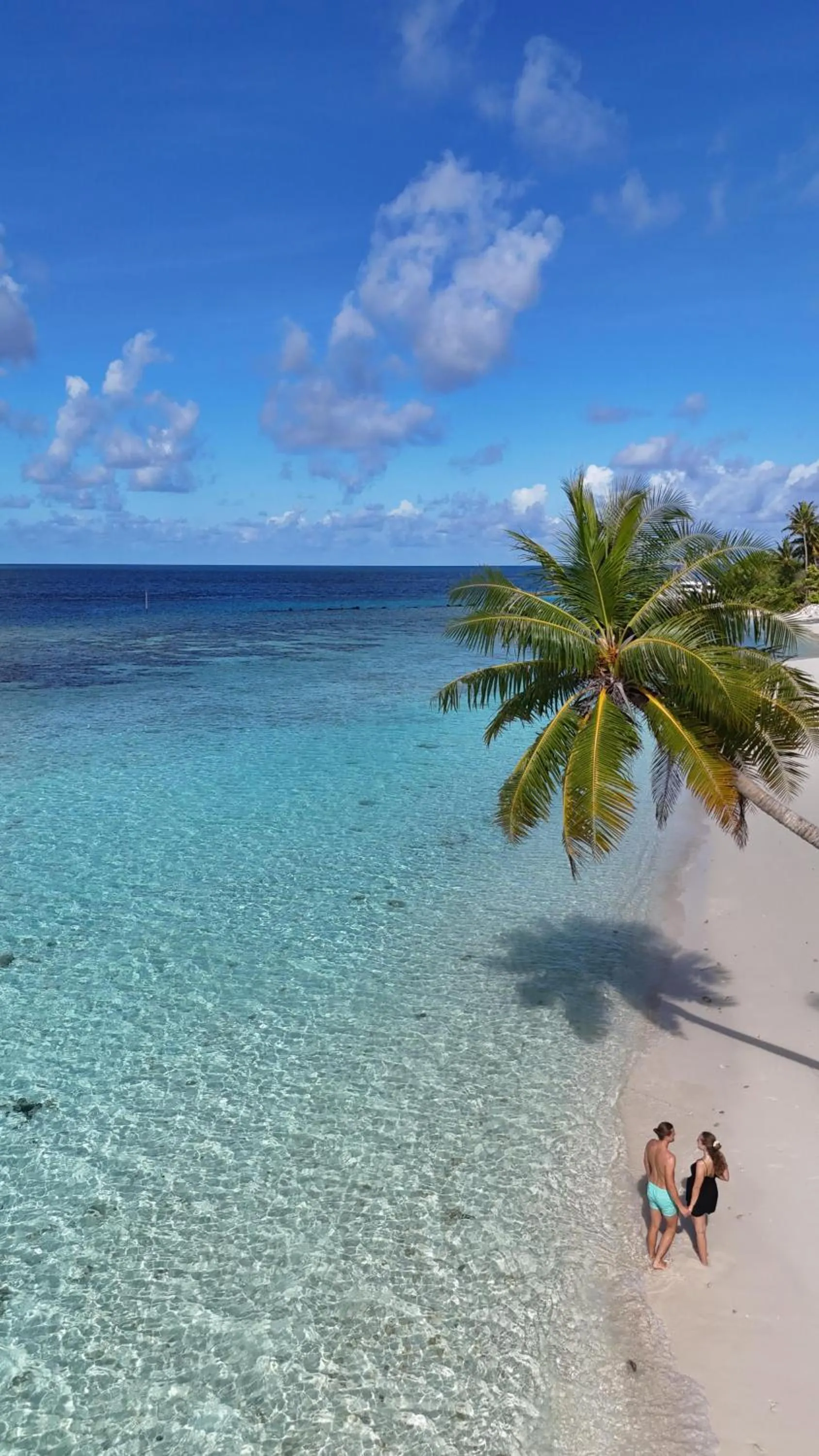 Natural landscape in Turtle Maldives - Your Gateway to the Beach & Marine Adventures Await!