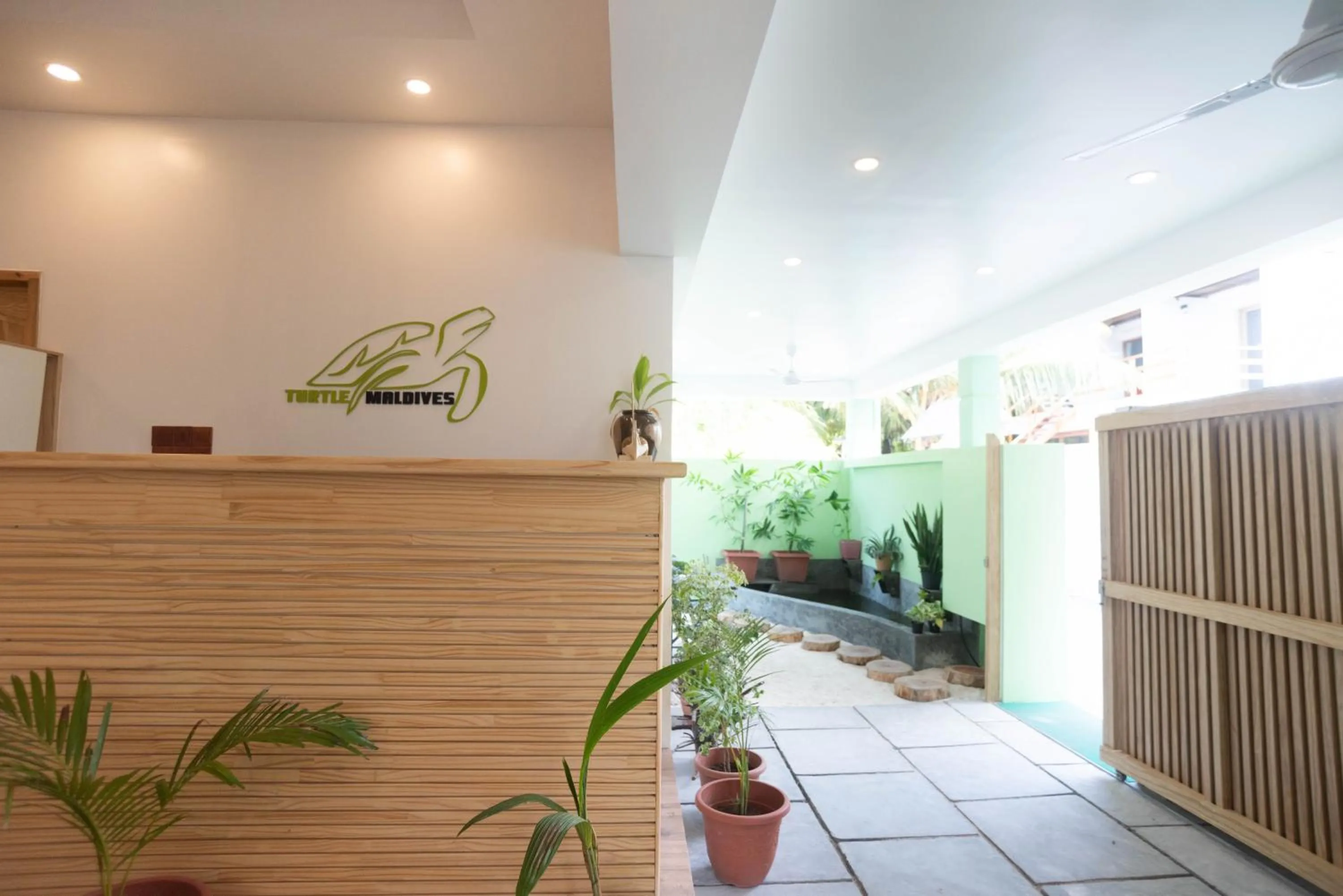 Lobby or reception in Turtle Maldives - Your Gateway to the Beach & Marine Adventures Await!