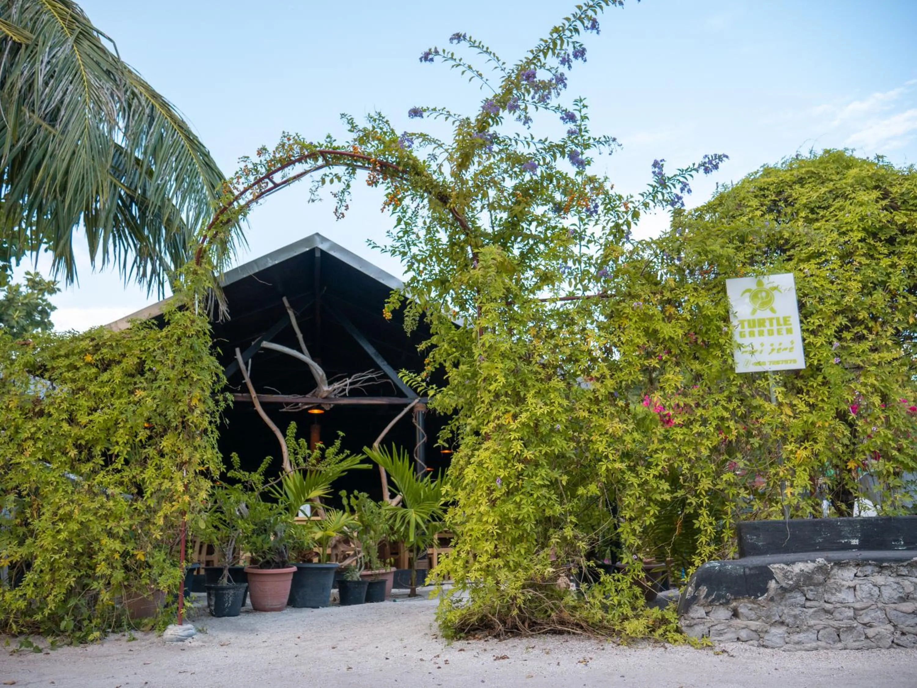 Restaurant/places to eat in Turtle Maldives - Your Gateway to the Beach & Marine Adventures Await!