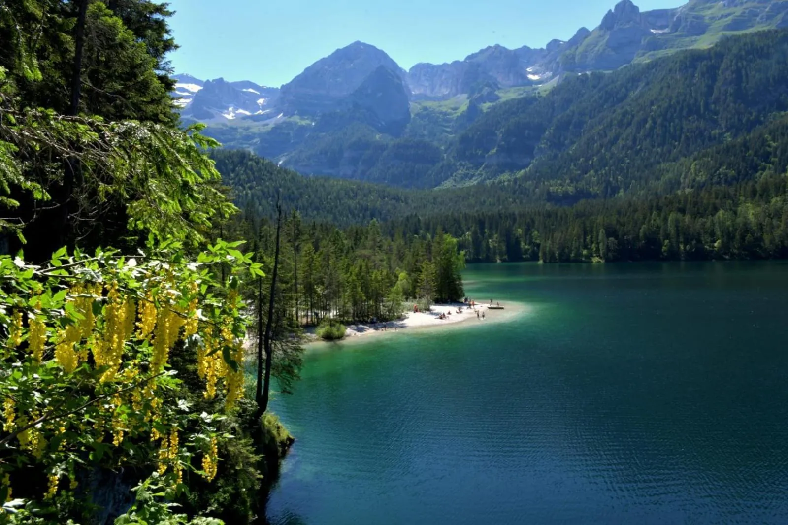 Natural landscape in Chalet Tovel - Mountain Lake