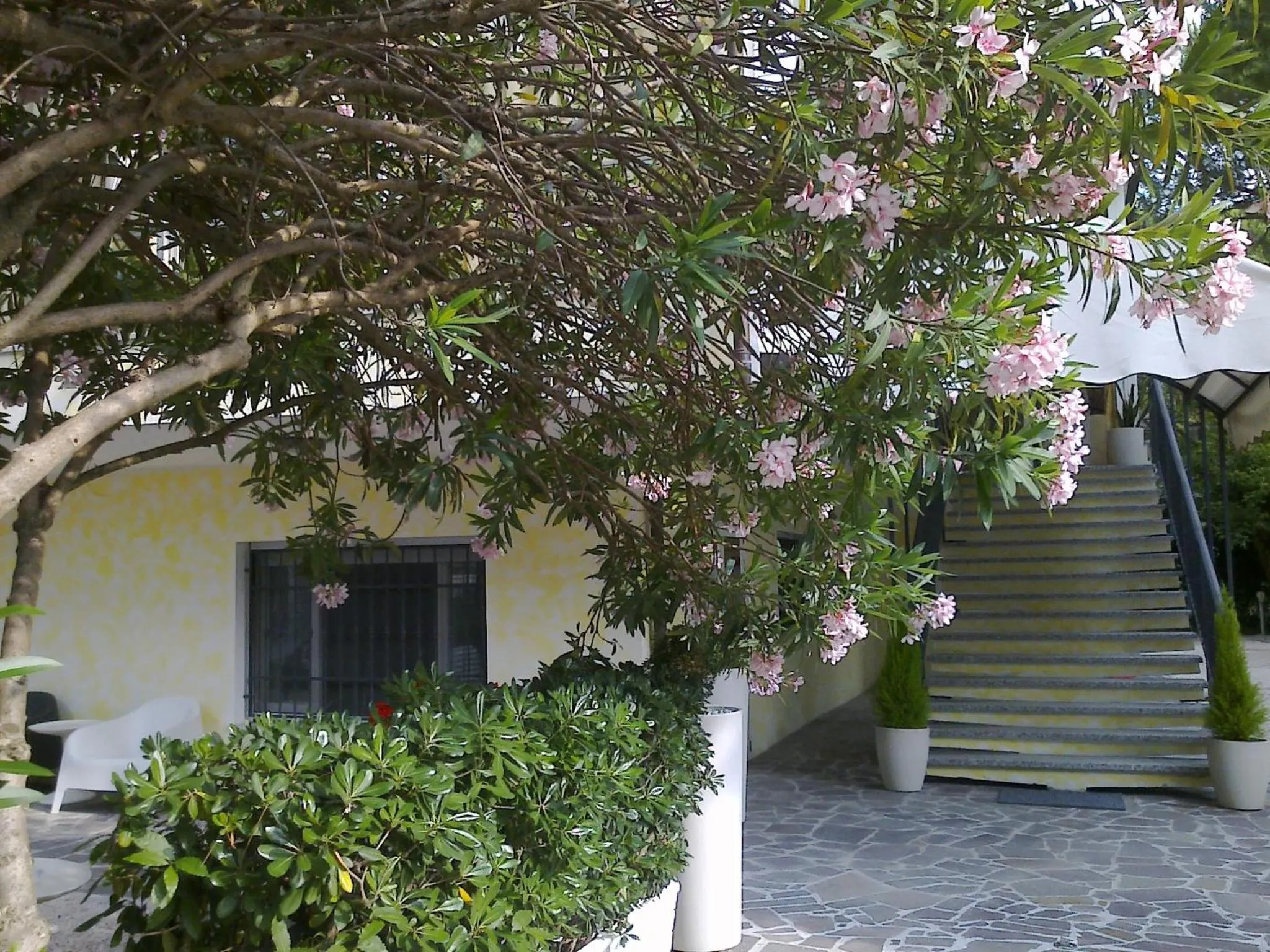 Facade/entrance in Hotel Augustus