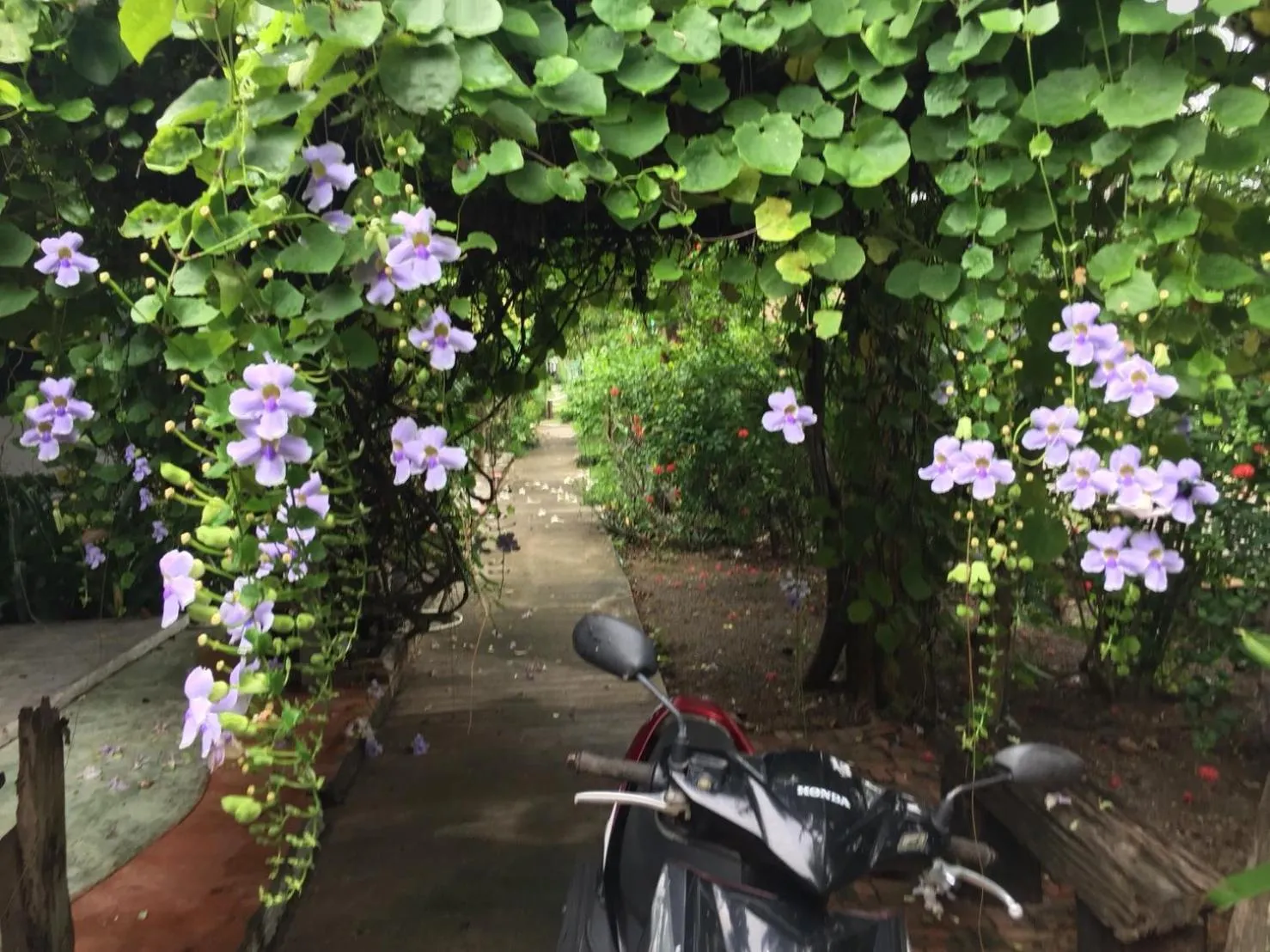 Property building in Sanita Cottage