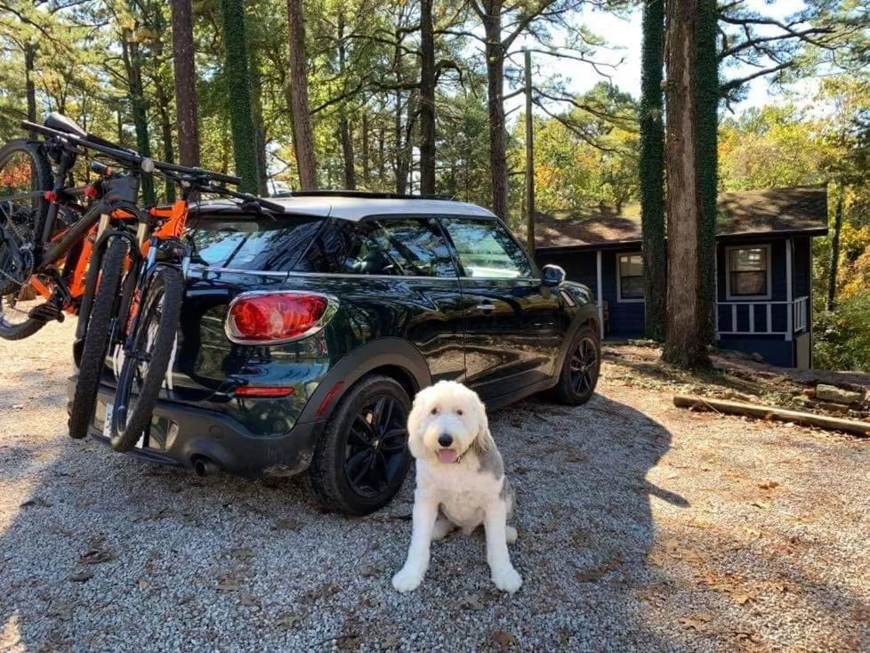 Loblolly Pines Adventure Cabin 2 King