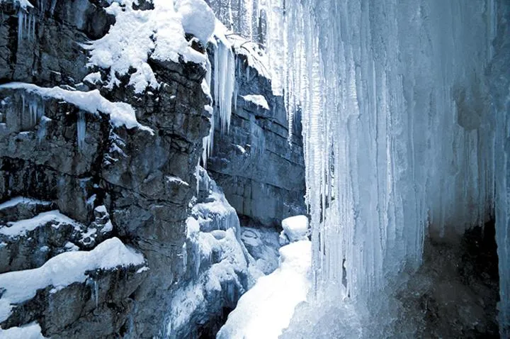 Hiking in Hotel Adler Garni