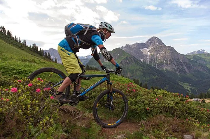 Spring in Hotel Adler Garni