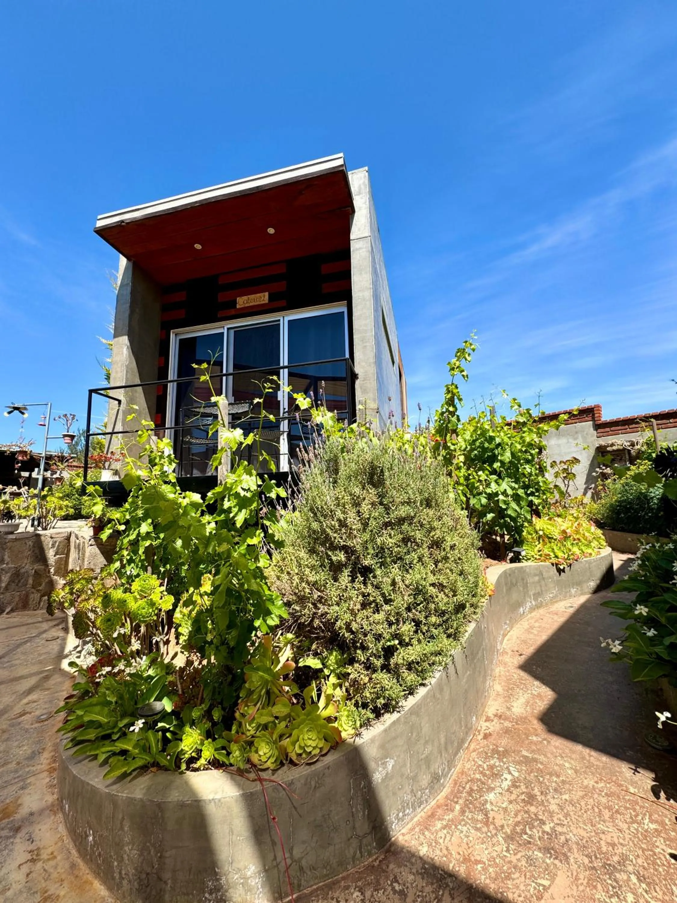 Property building in Entre Vides Valle de Guadalupe
