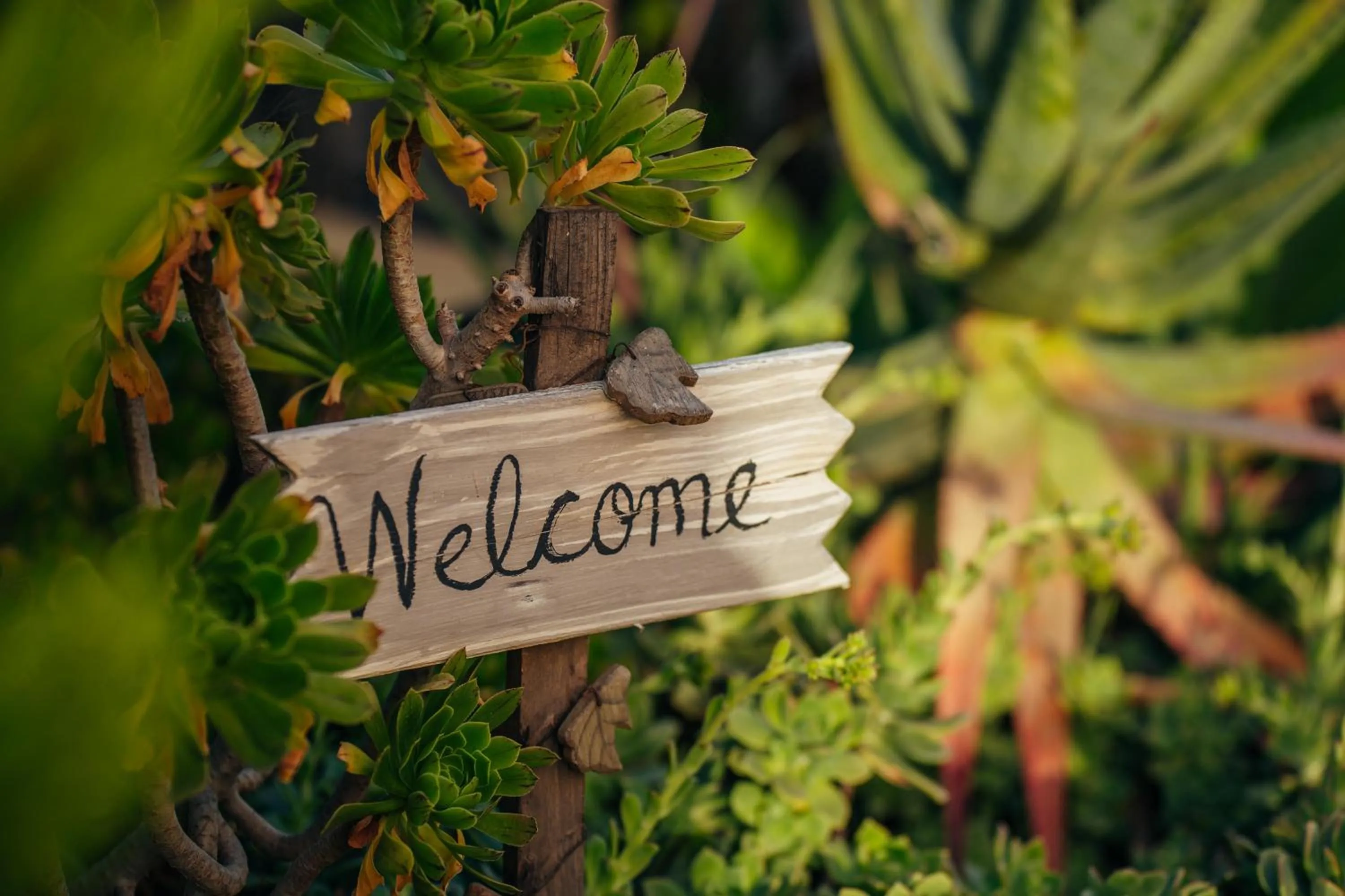 Property logo or sign in Entre Vides Valle de Guadalupe