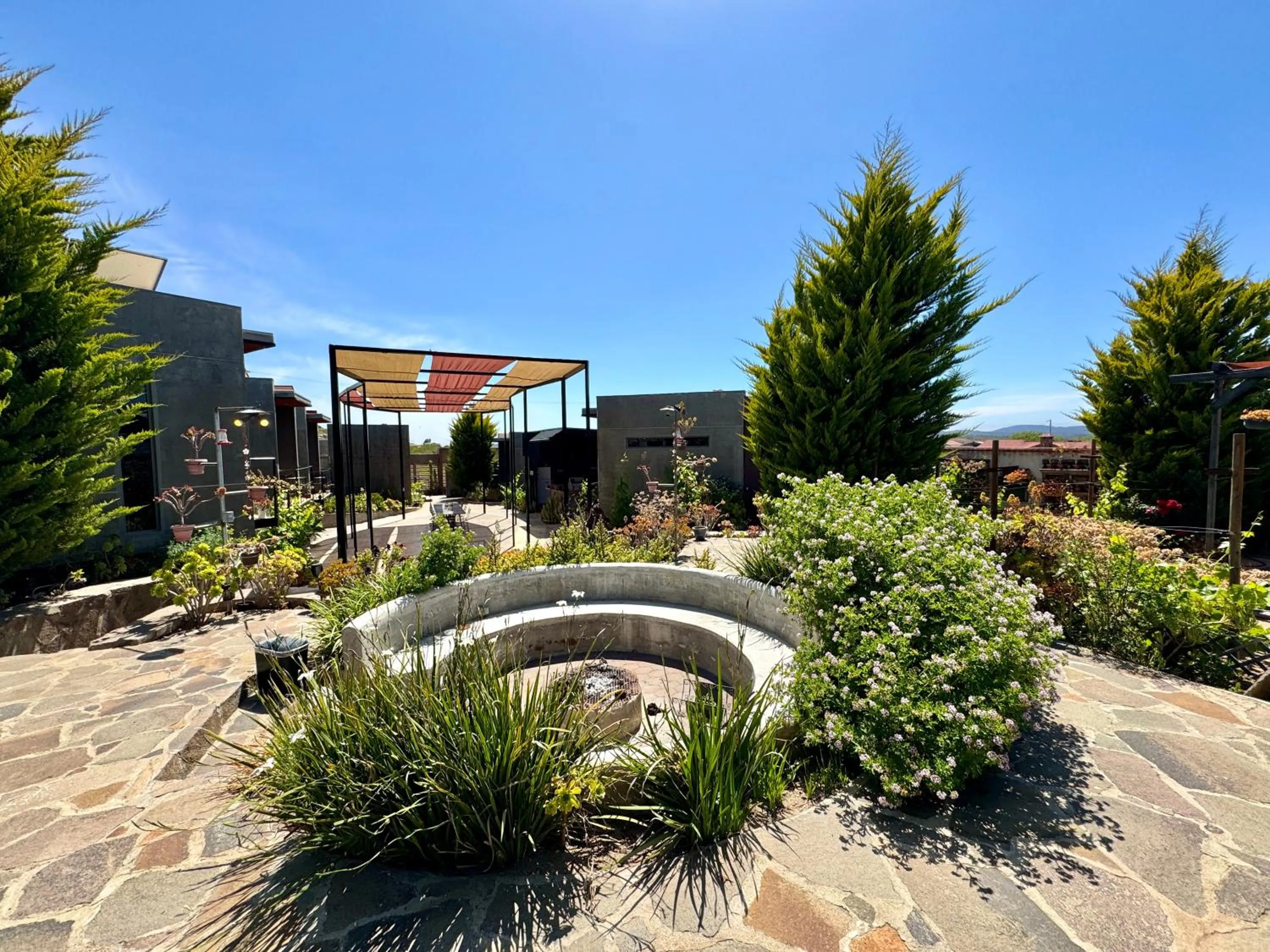 Spring in Entre Vides Valle de Guadalupe