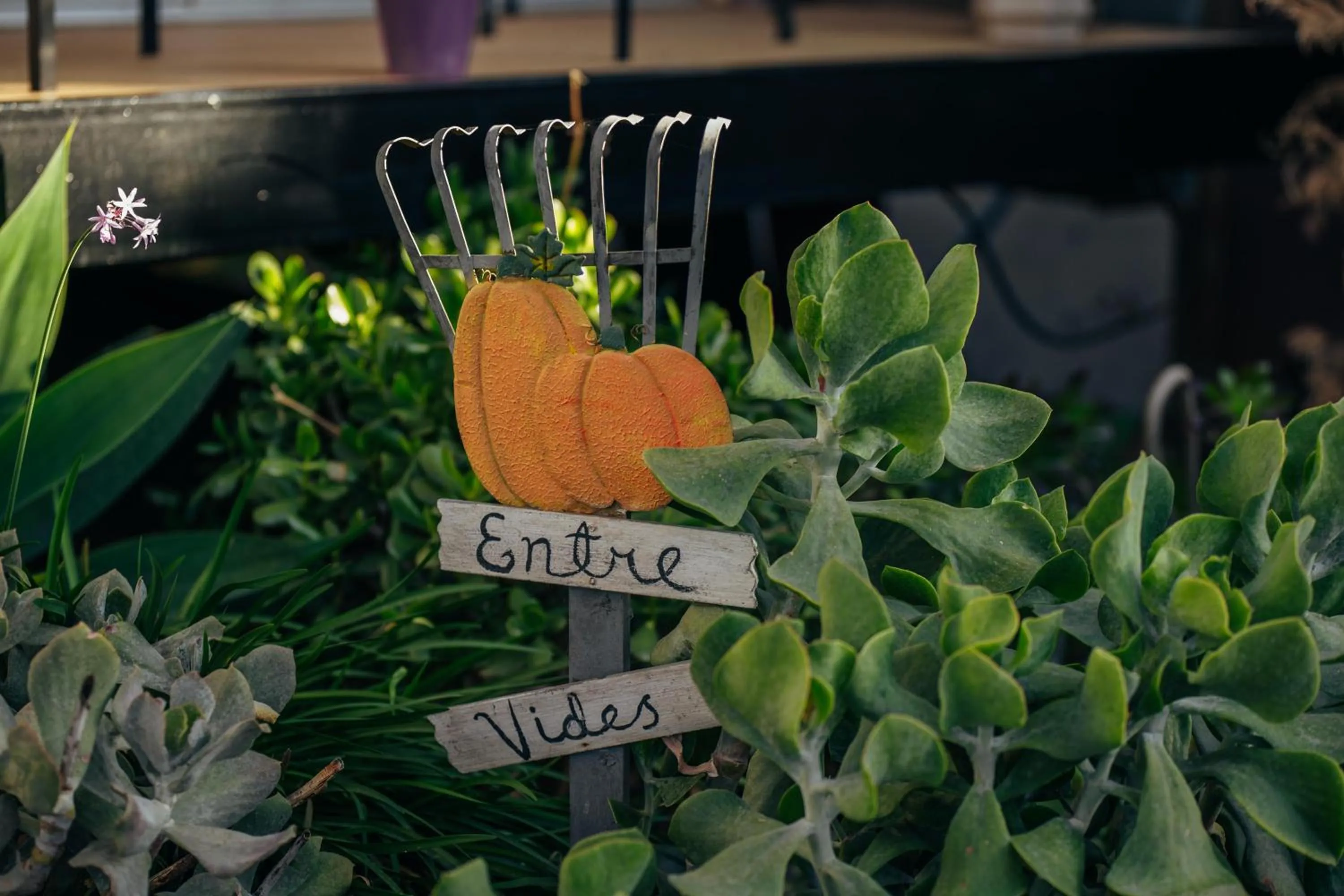Property logo or sign in Entre Vides Valle de Guadalupe