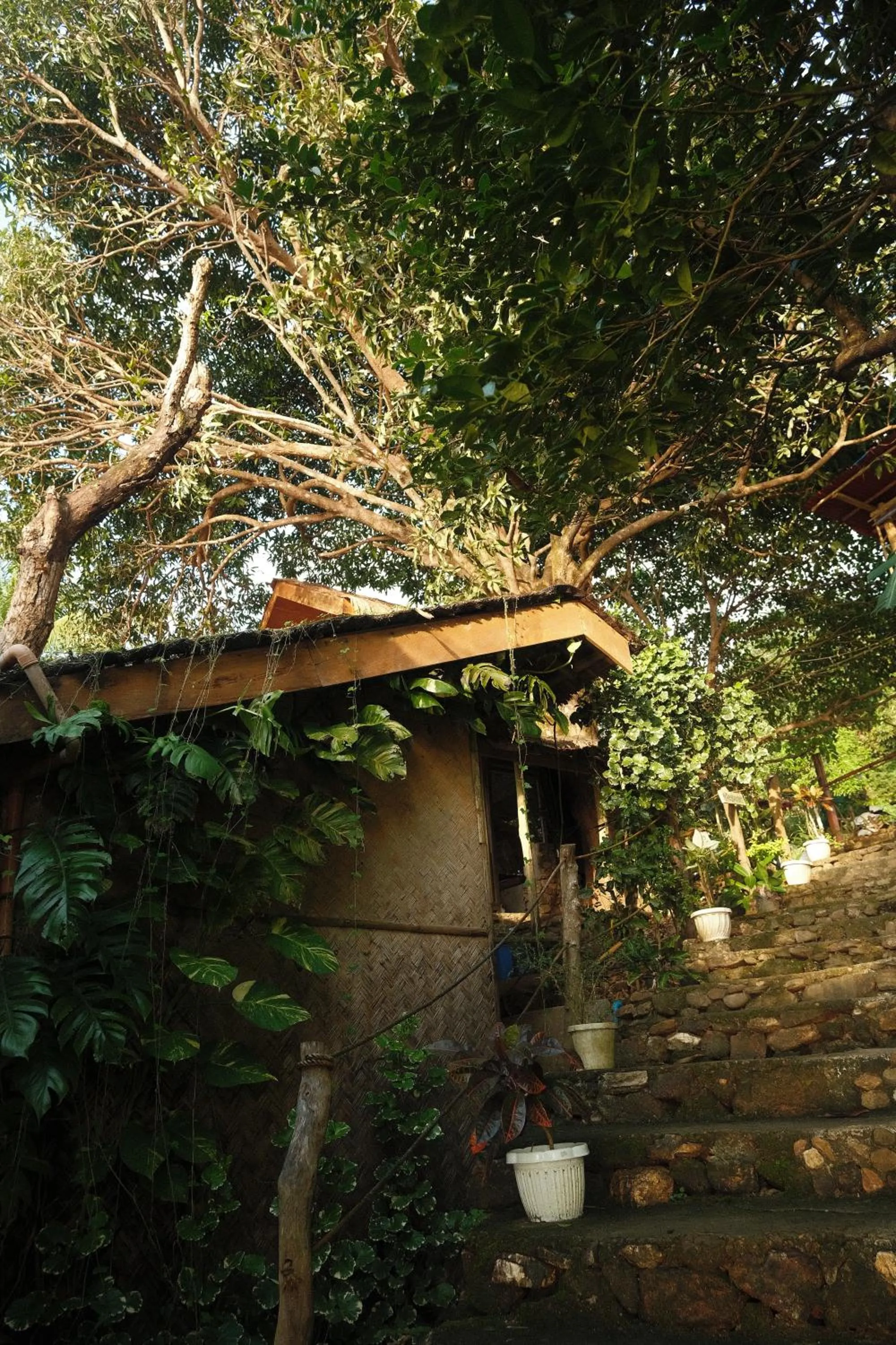 Cocovana Beach Resort