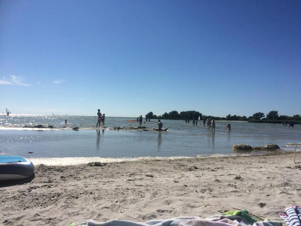 Beach in Zuiderzeestate 28