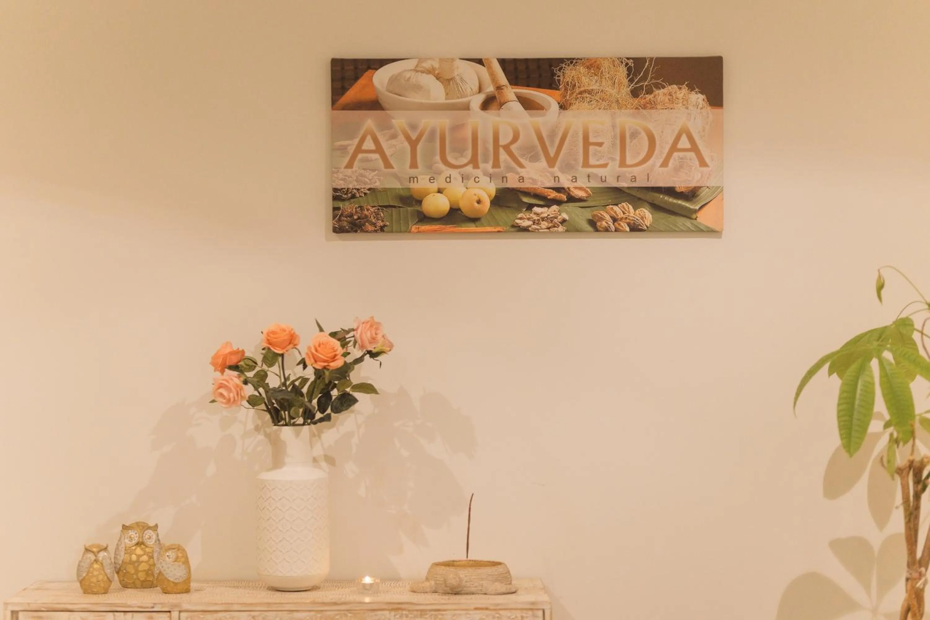 Spa and wellness centre/facilities in Hotel Baobab Suites