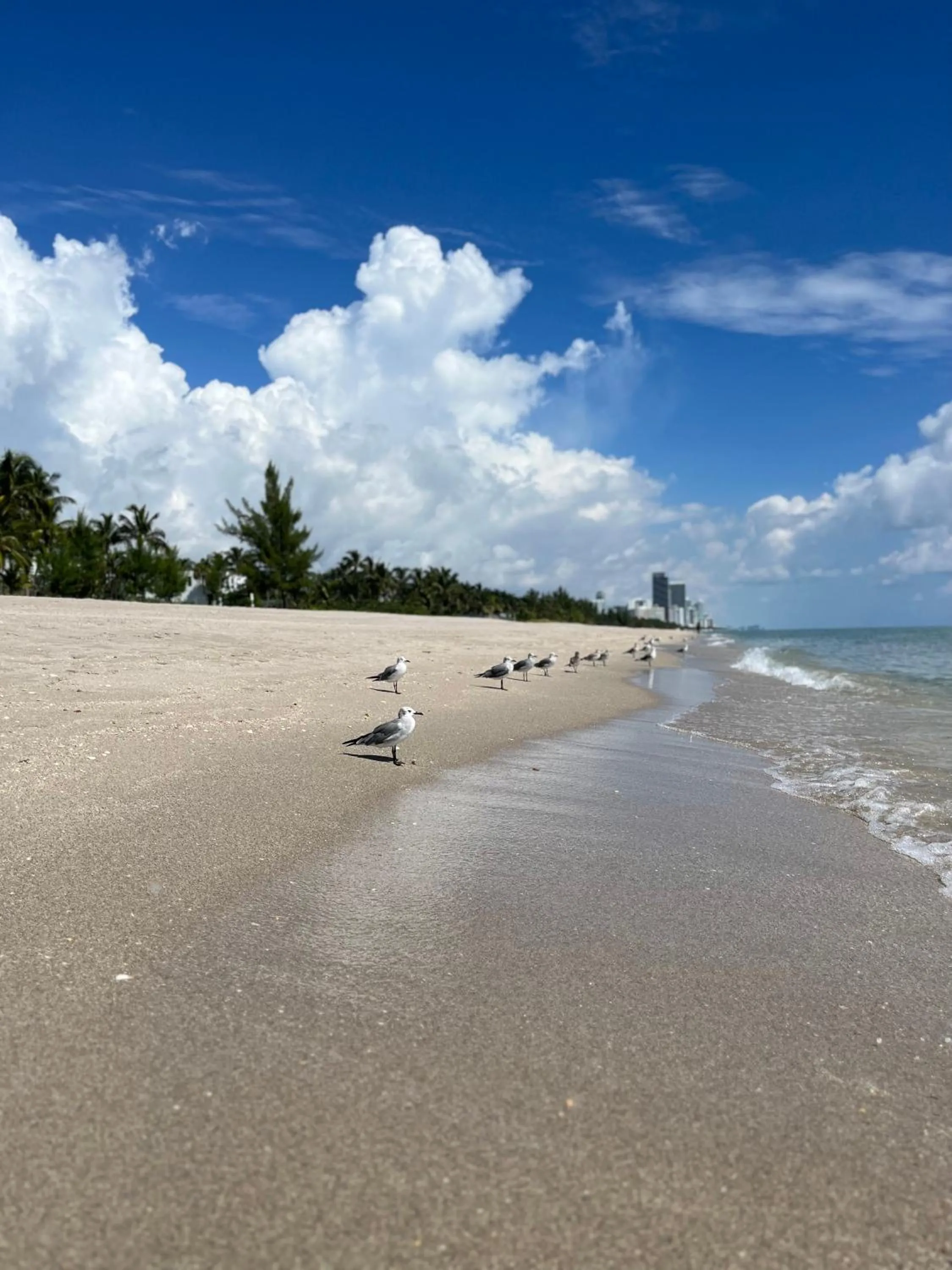 Beach in OCEAN RESERVE 15th Floor - Gorgeous Ocean View - STR00907