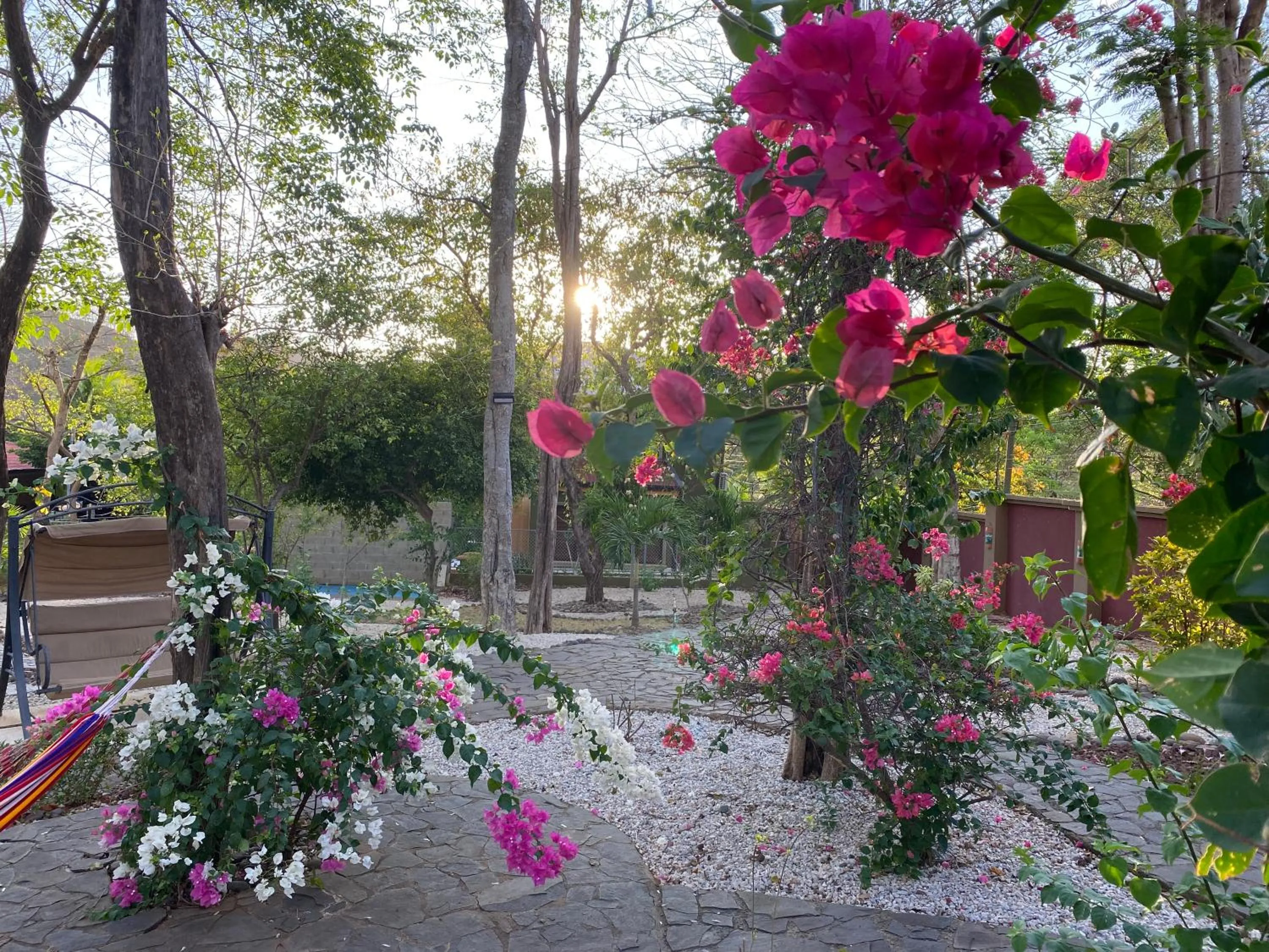 Day in Casas del Toro Playa Flamingo