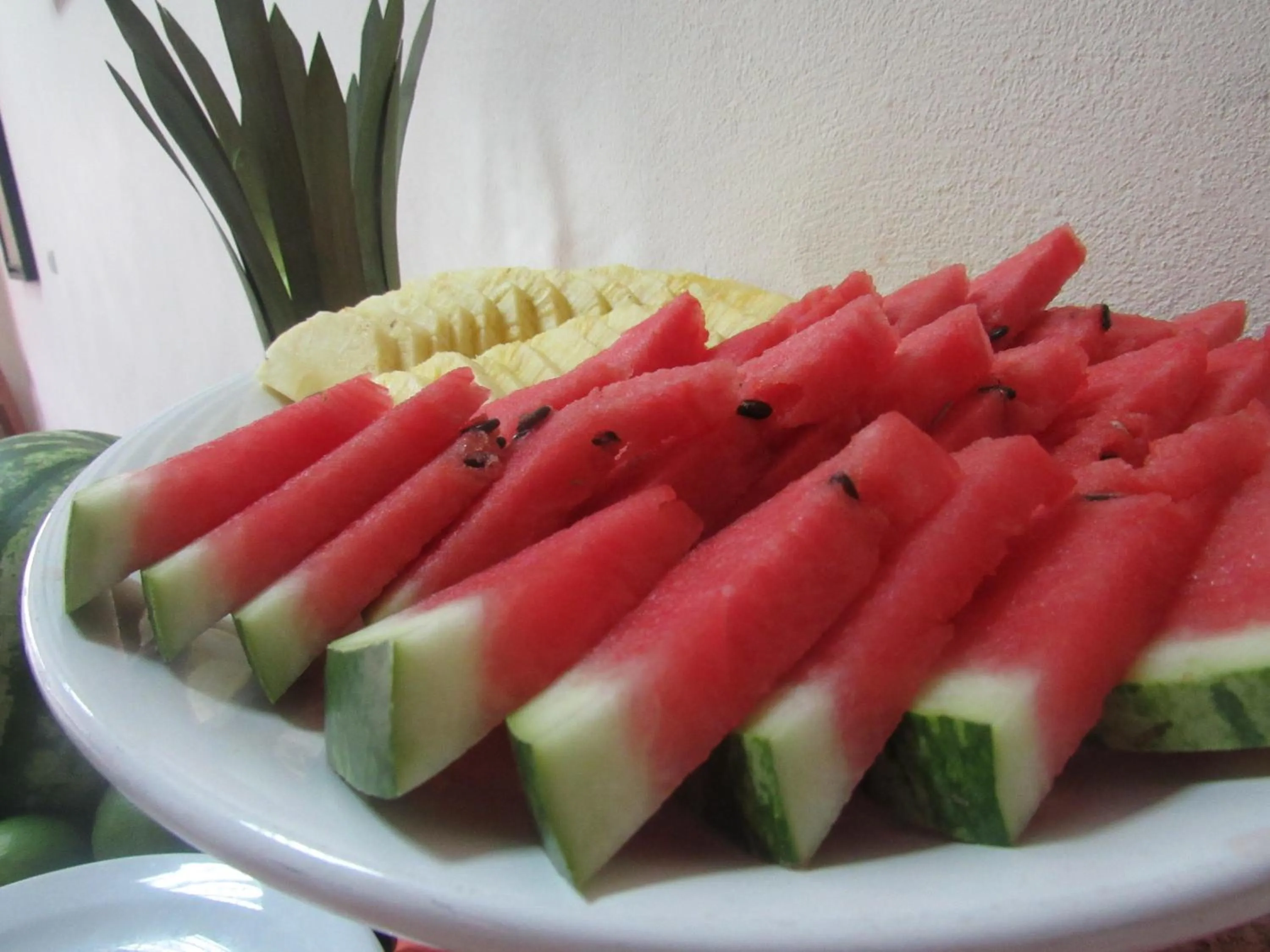 Breakfast in Casas del Toro Playa Flamingo
