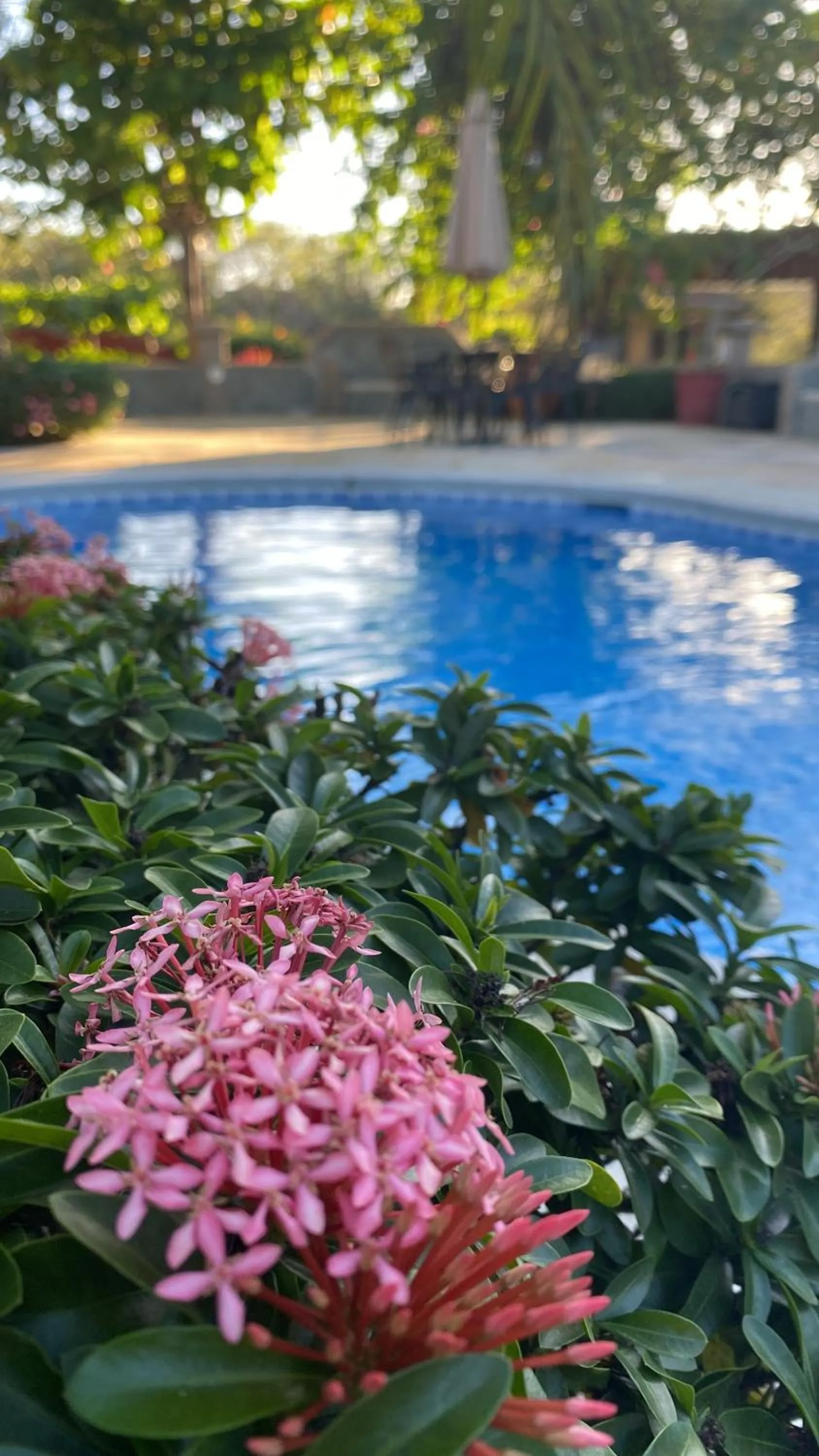 Pool view in Casas del Toro Playa Flamingo