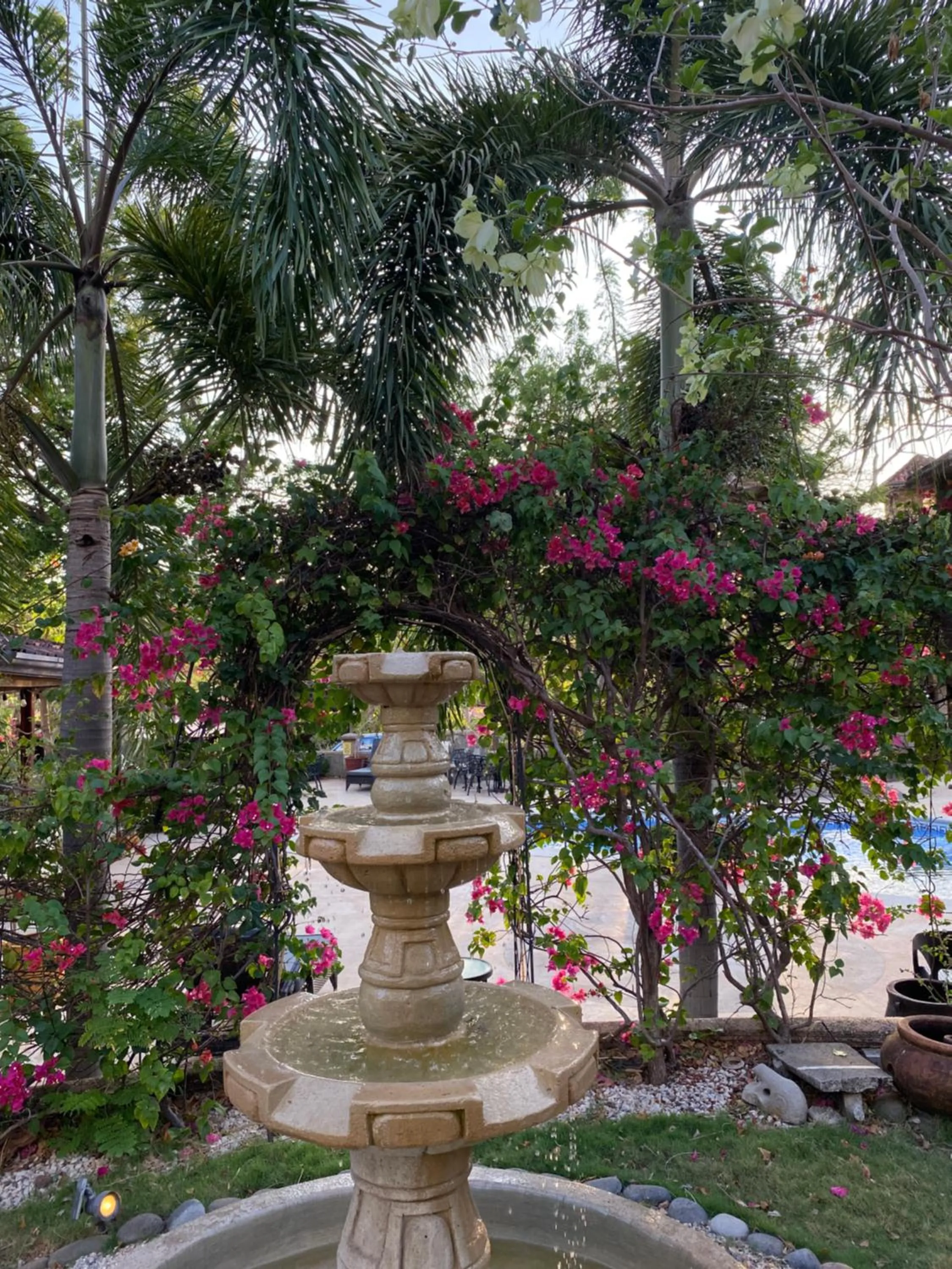 Day in Casas del Toro Playa Flamingo