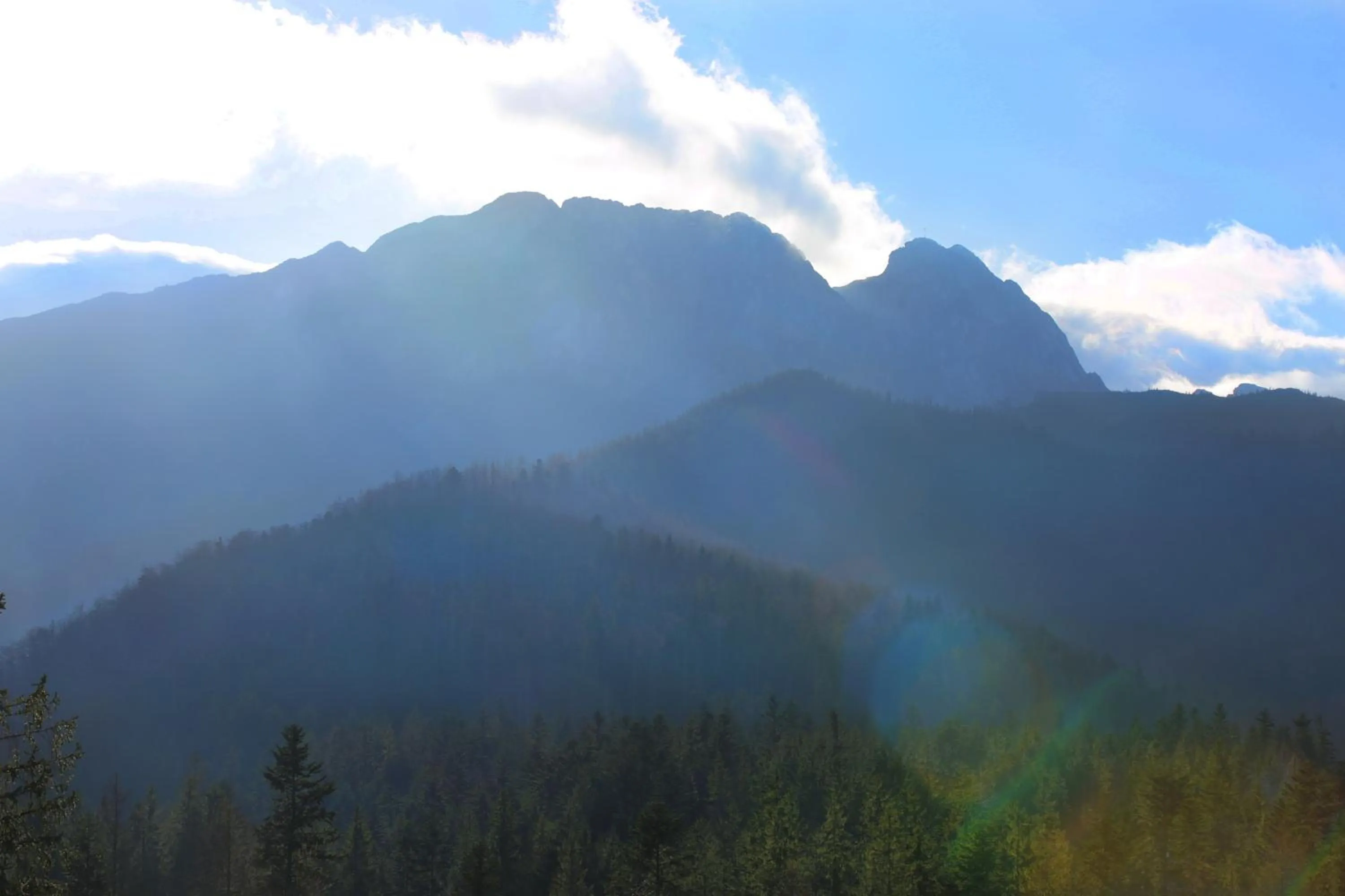 Autumn in Green Deer Premium