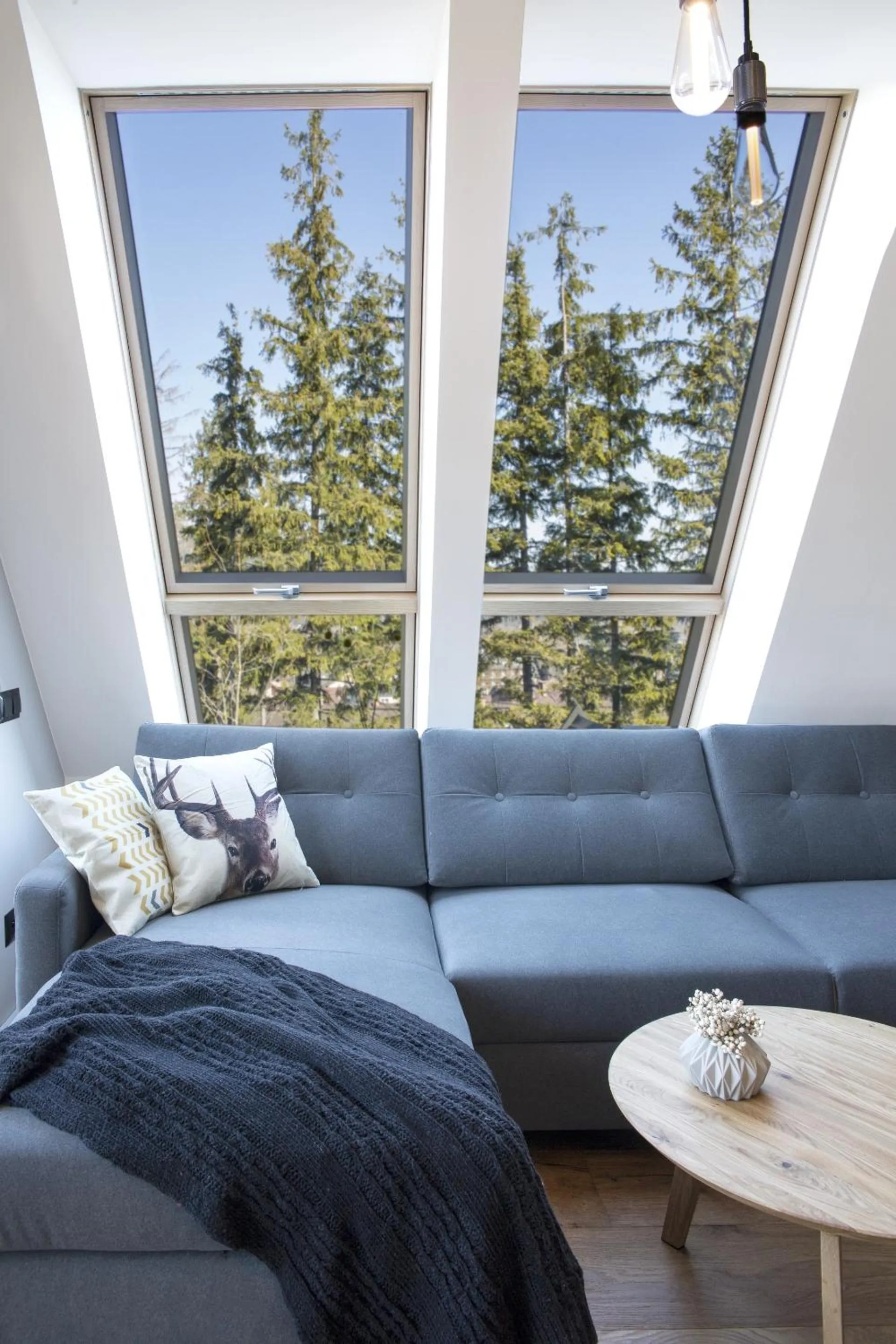 Living room in Green Deer Premium