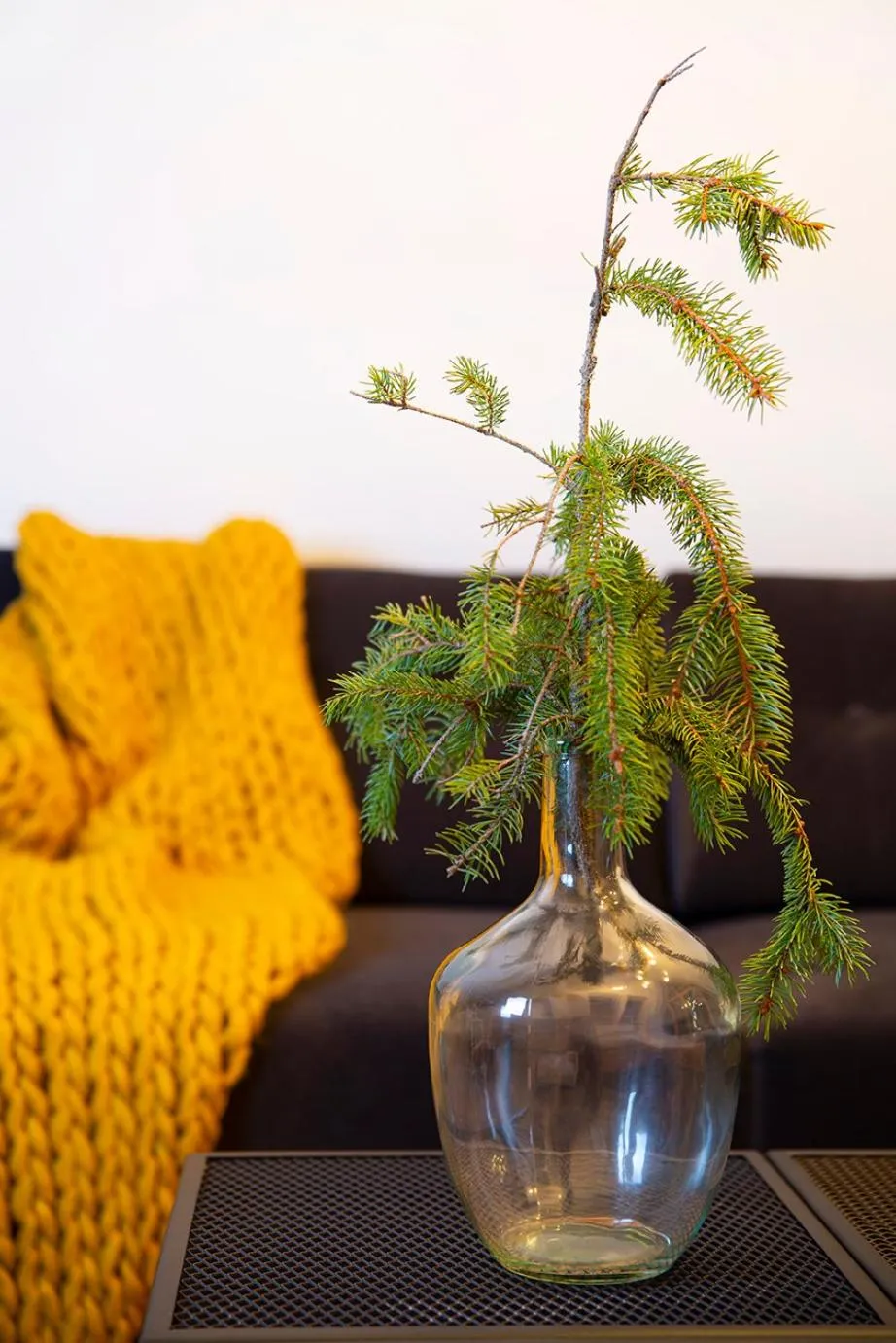 Living room in Green Deer Premium