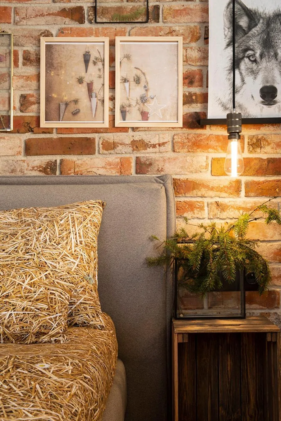 Photo of the whole room in Green Deer Premium