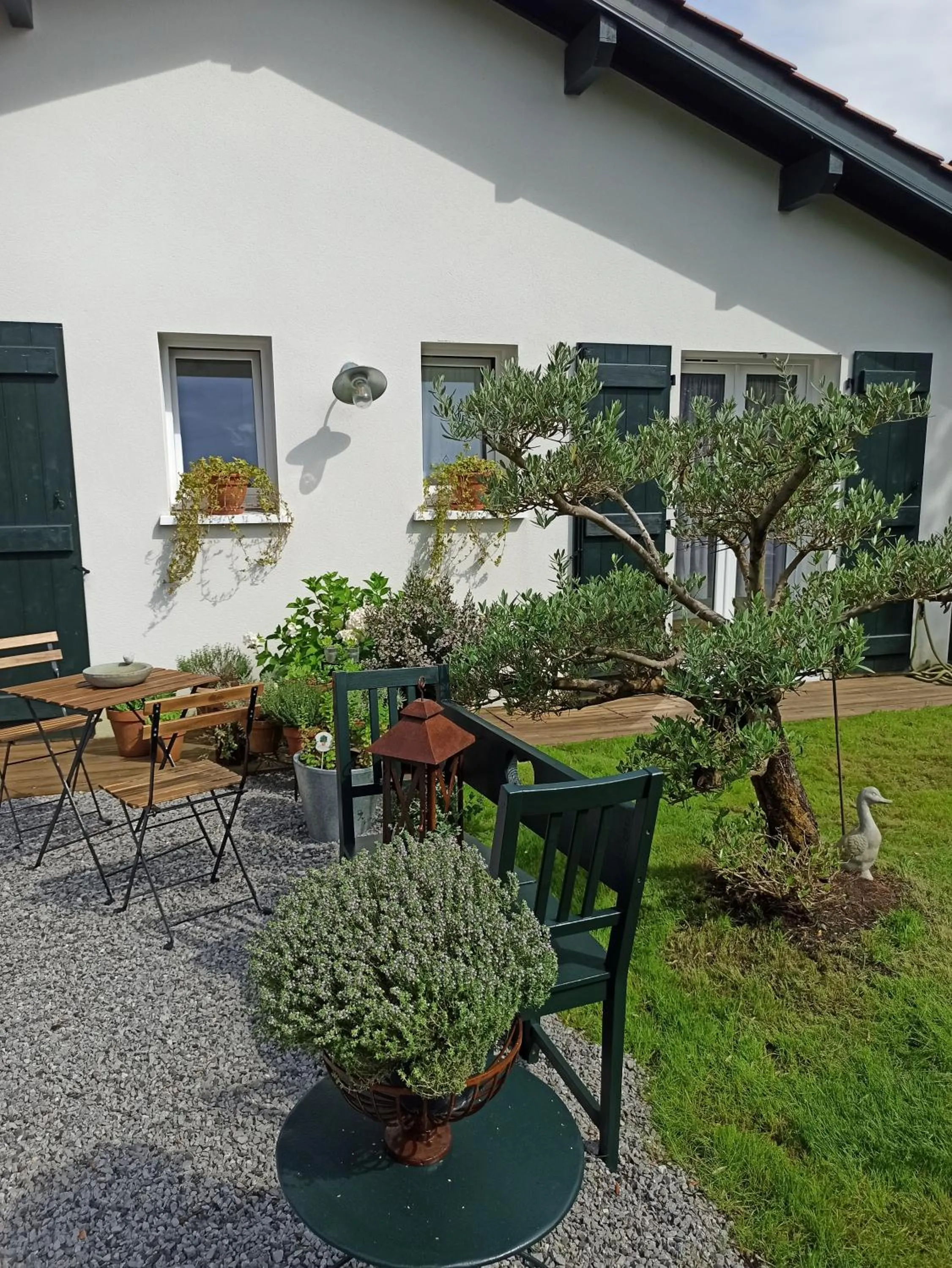 Garden view in Loretxea