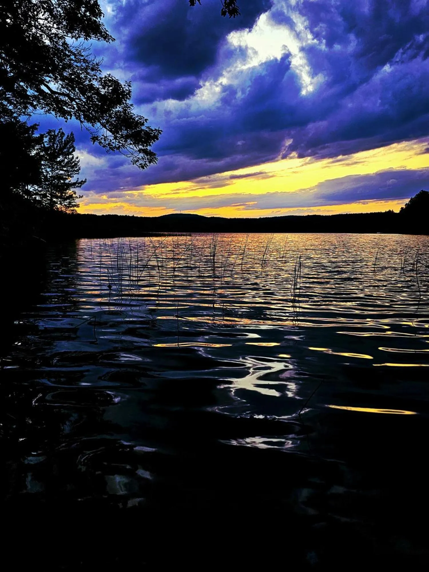Lake view in Lake Shore Farm Inn