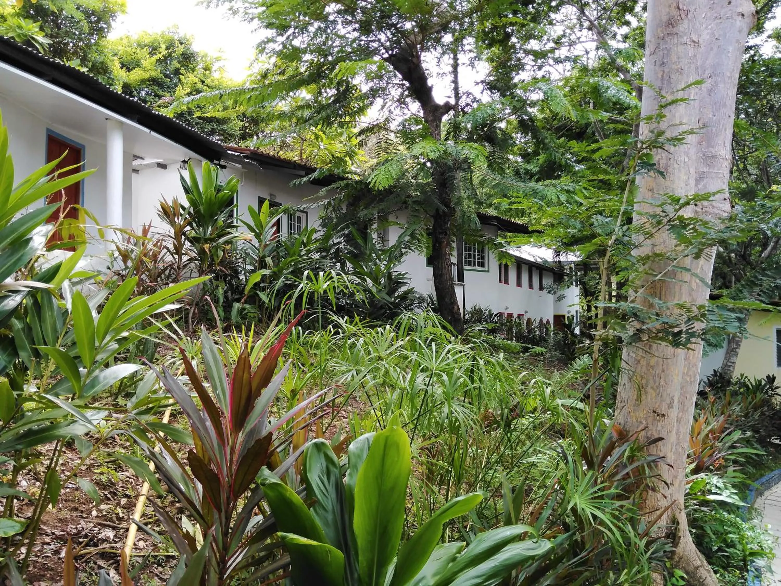 Boca Brava Lodge