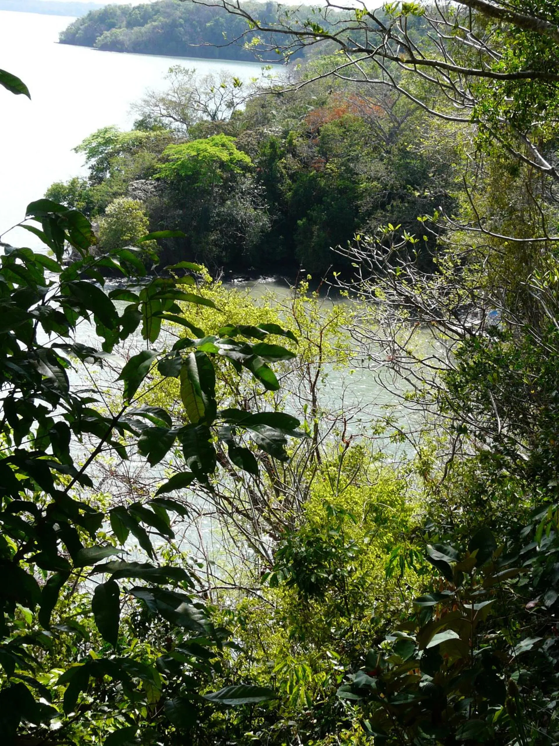 Boca Brava Lodge