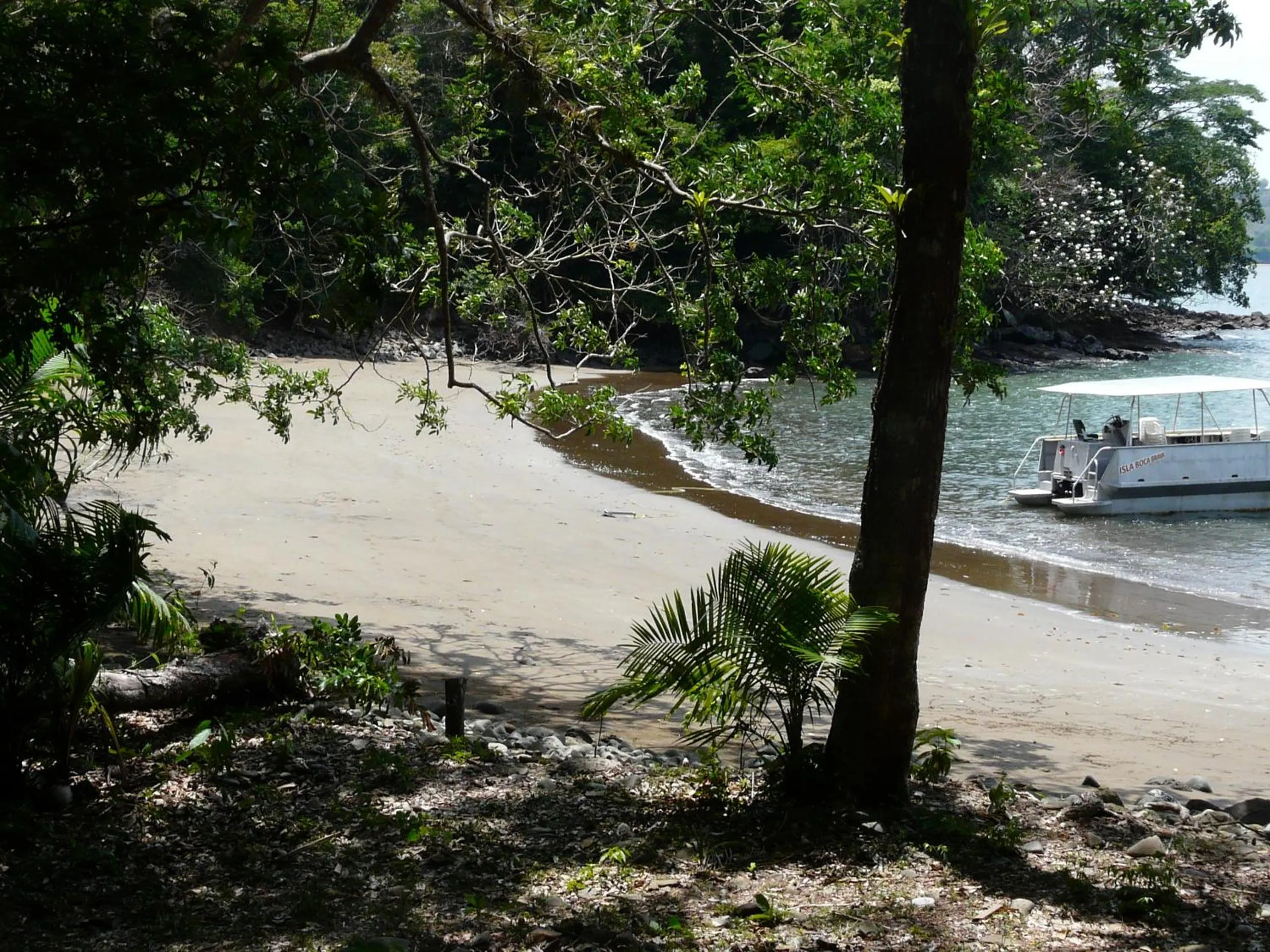 Boca Brava Lodge
