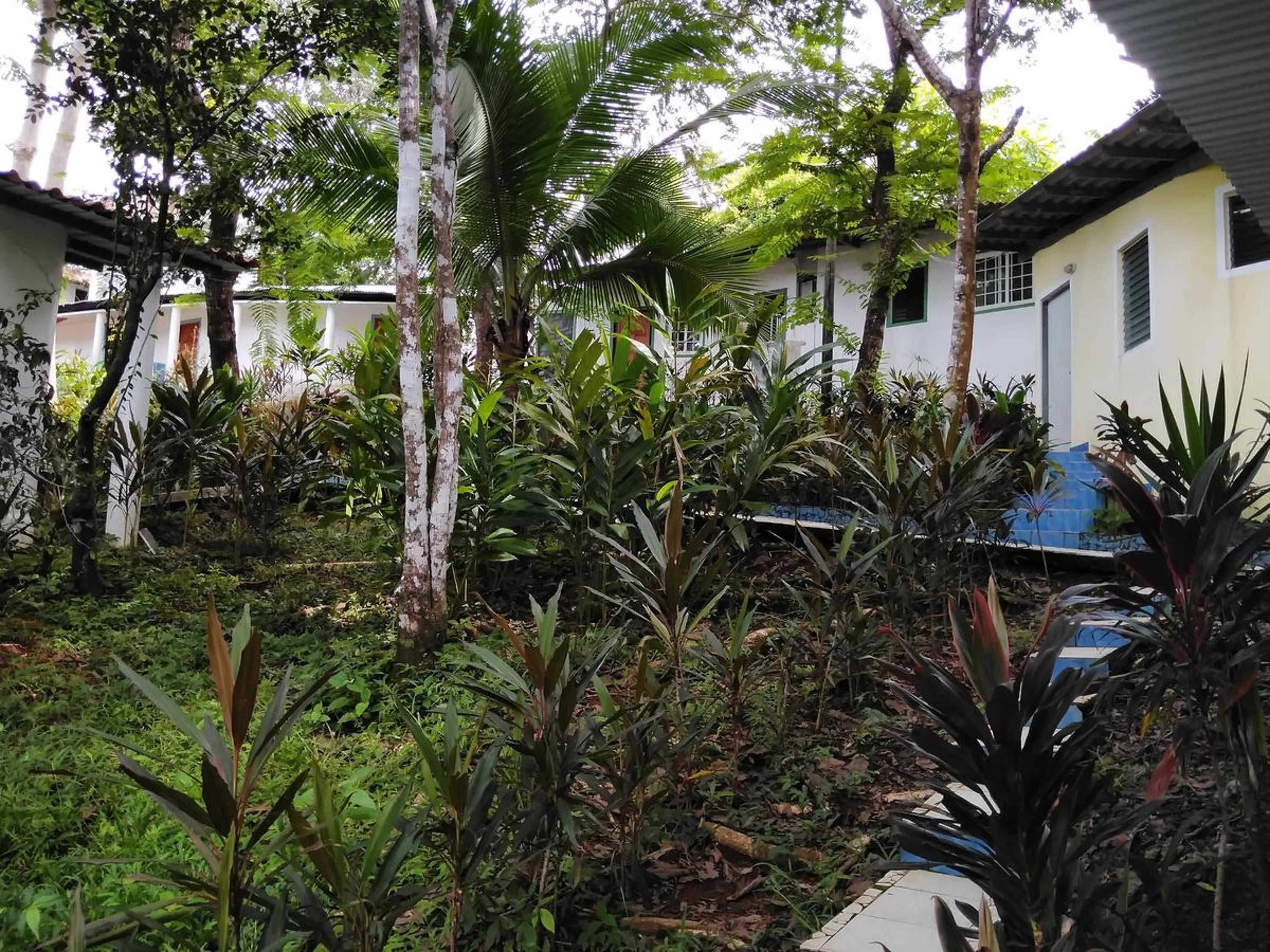 Boca Brava Lodge