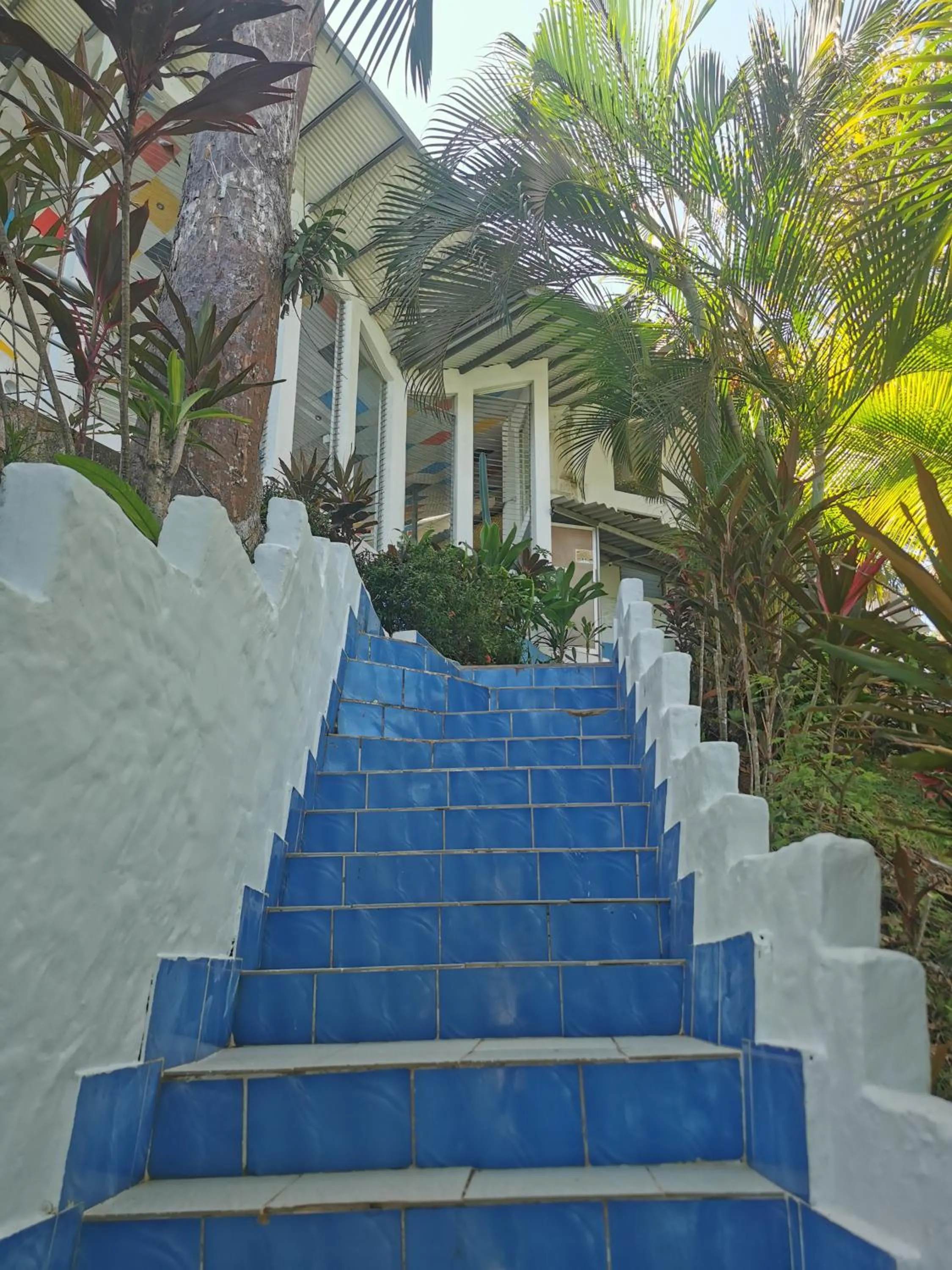 Boca Brava Lodge