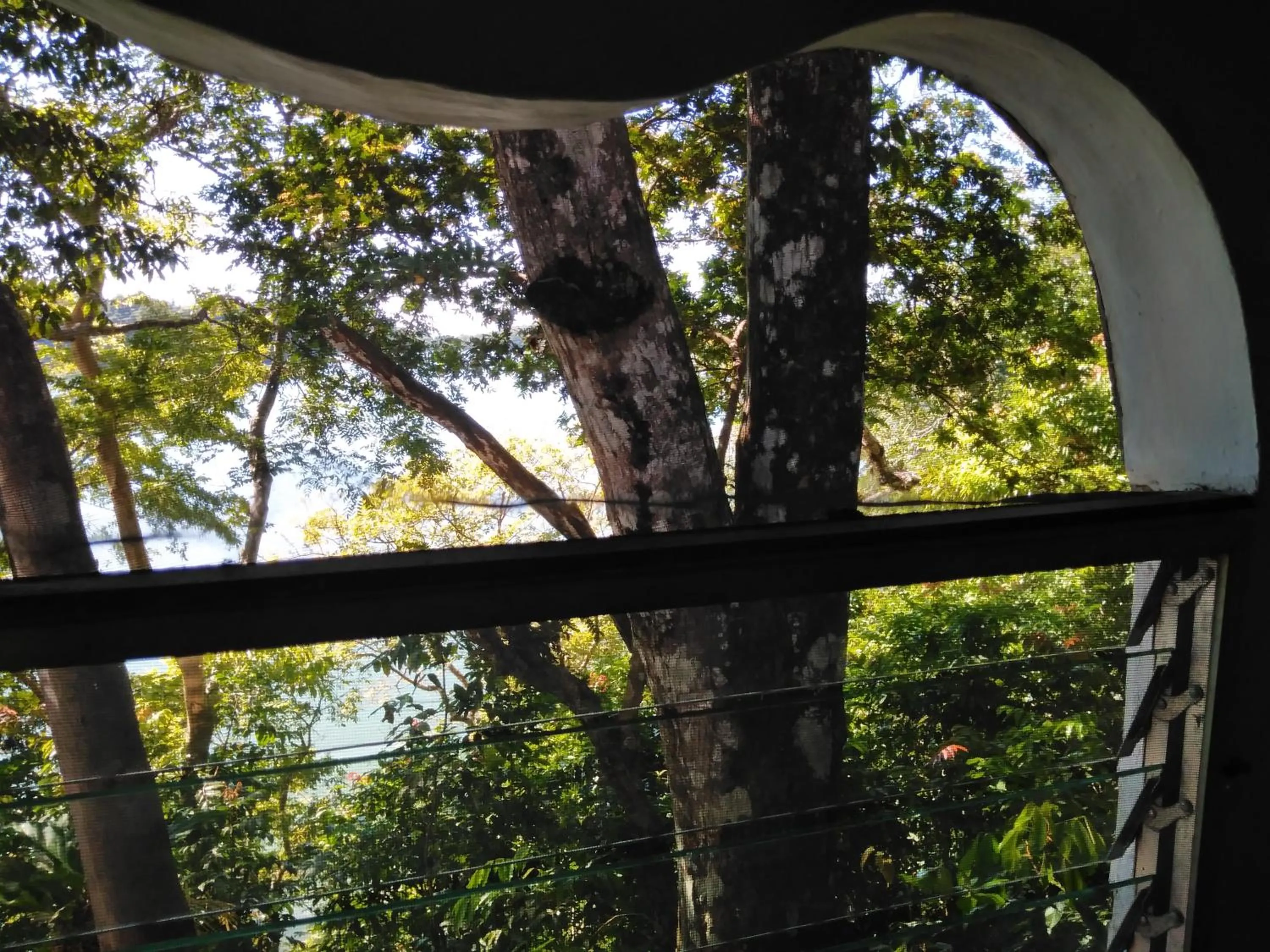 Photo of the whole room in Boca Brava Lodge