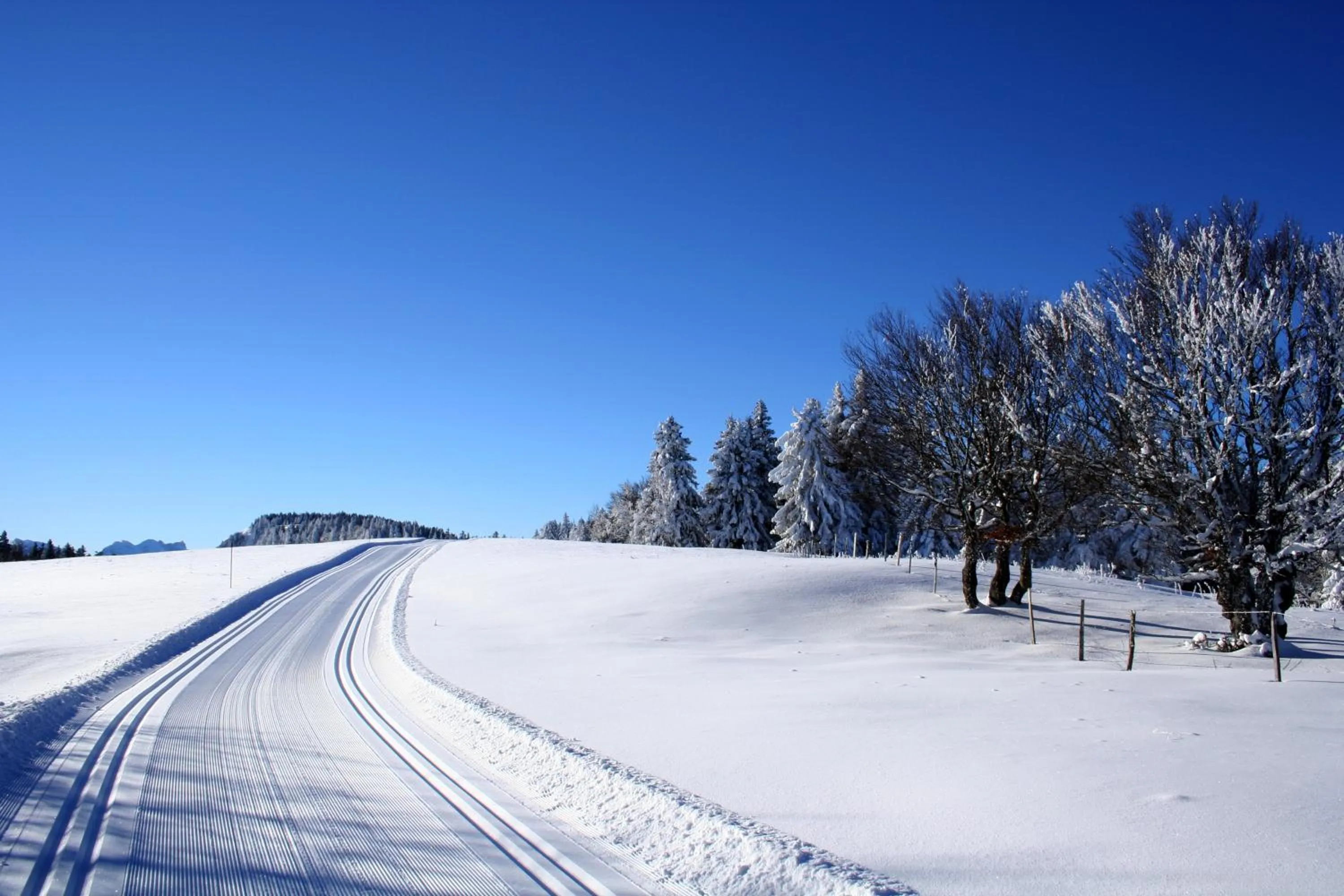 Area and facilities in Logis Le Vernay